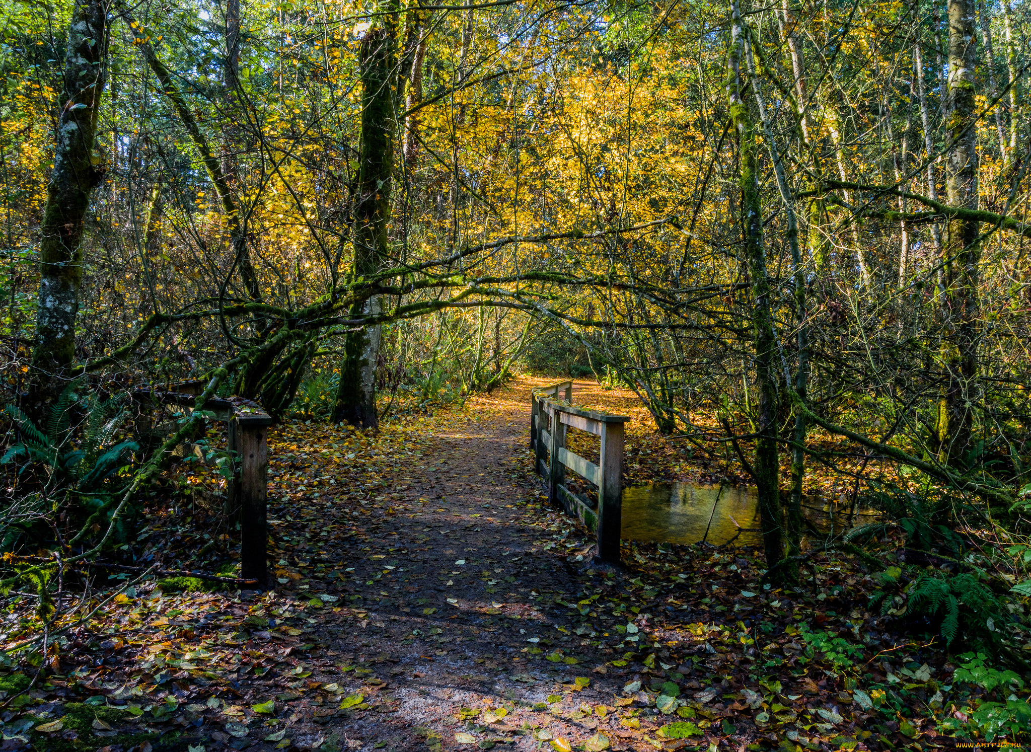 природа, дороги, простор