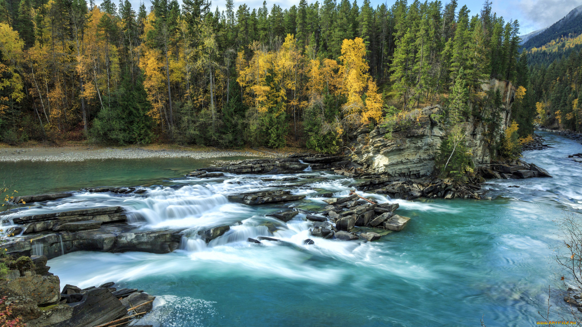 природа, реки, озера, лес, река, камни