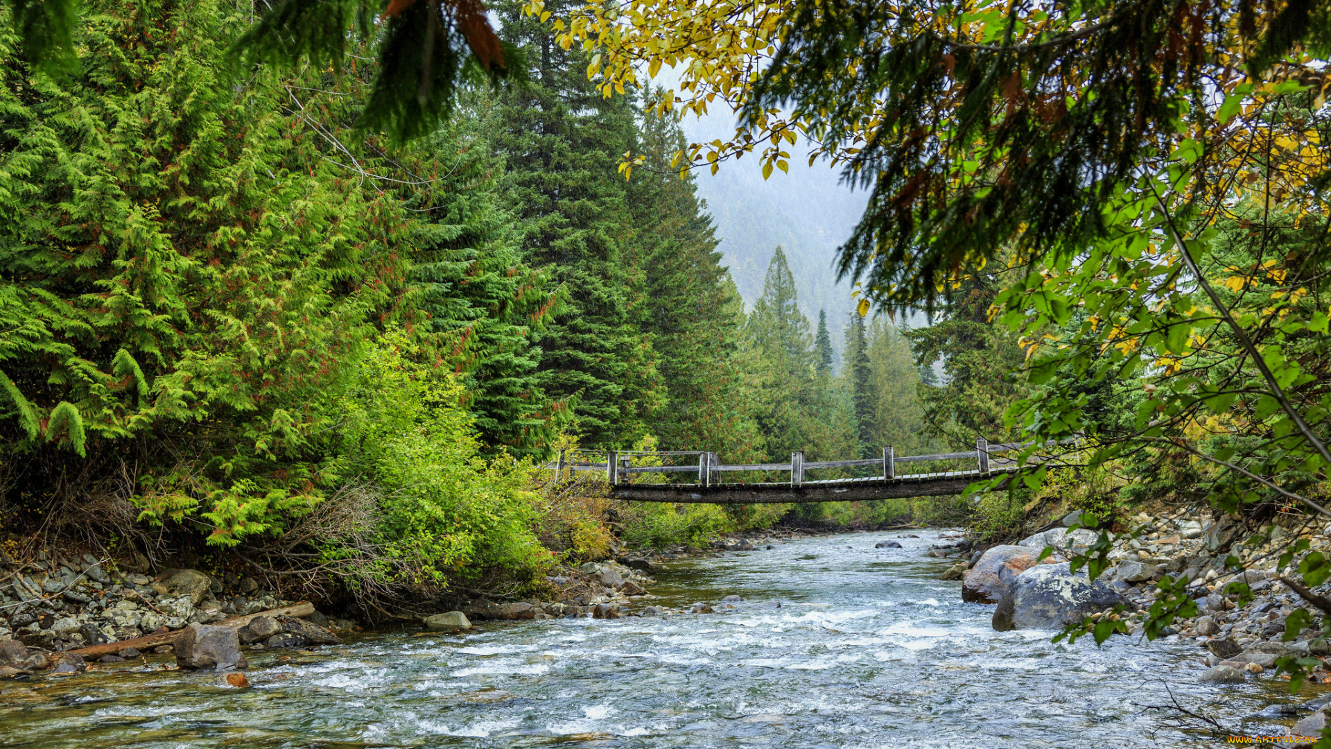 природа, реки, озера, лес, река, камни