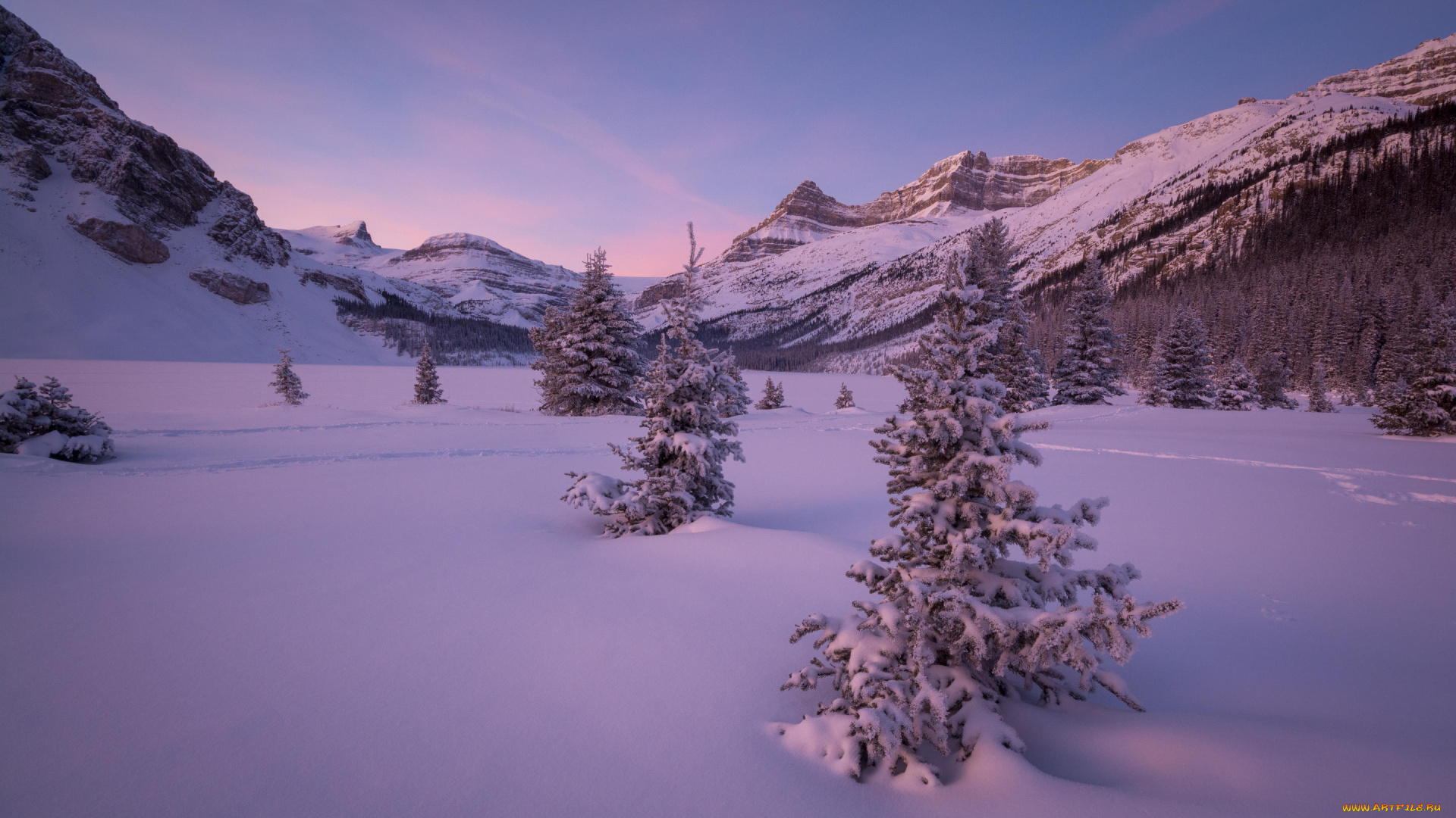 природа, зима, деревья, снег