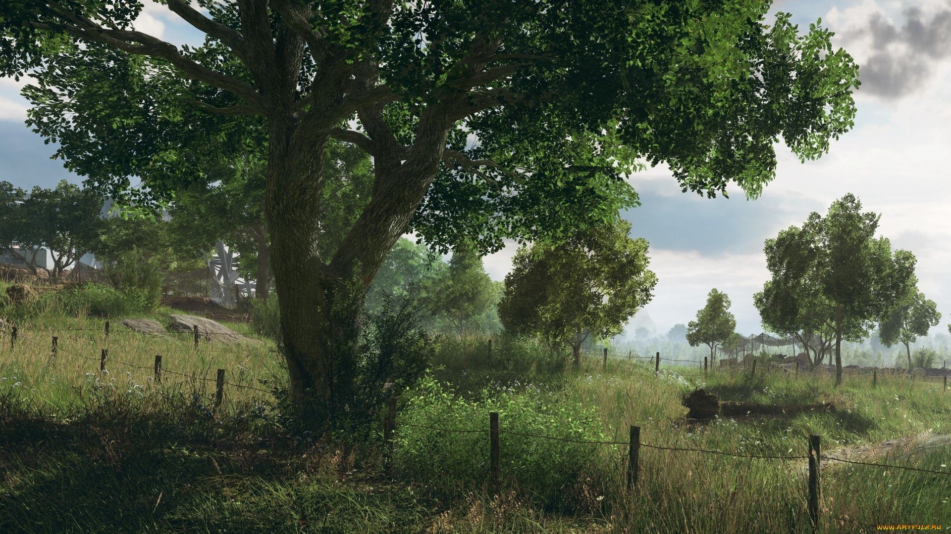 видео, игры, battlefield, v, battlefield, v