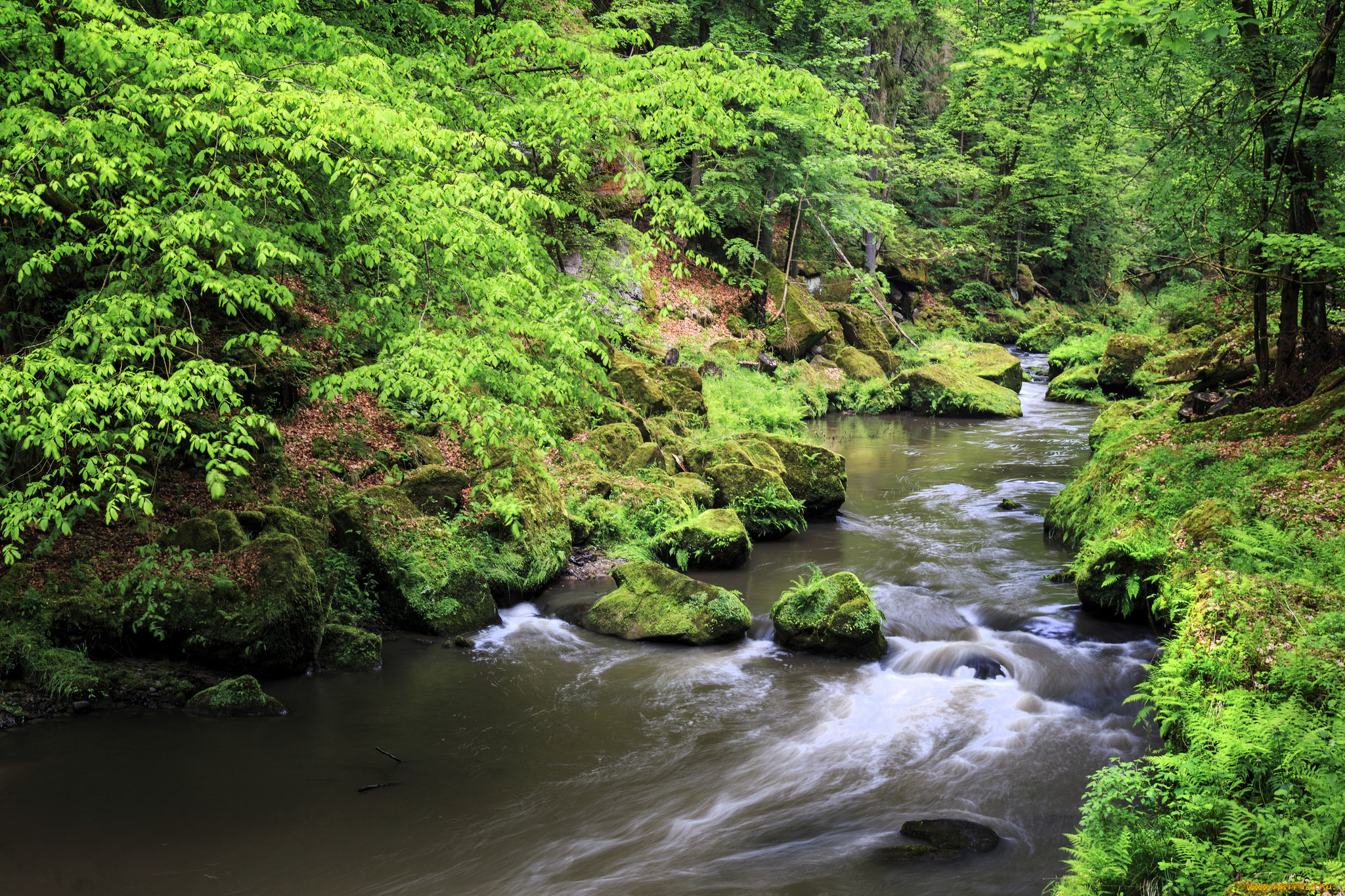 природа, реки, озера, лес, река, камни