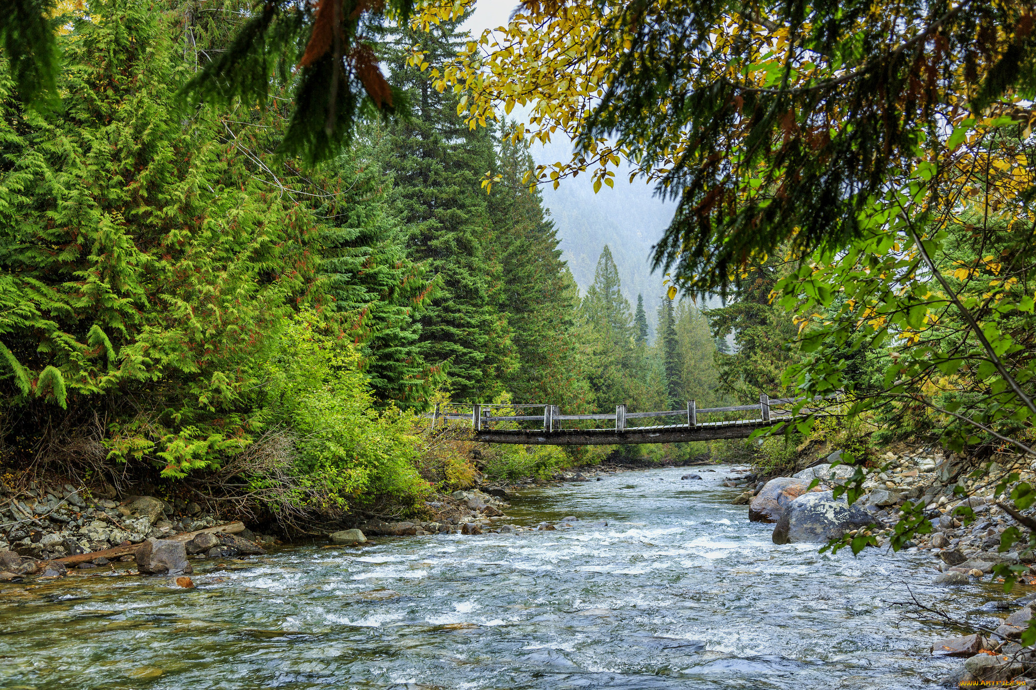 природа, реки, озера, лес, река, камни