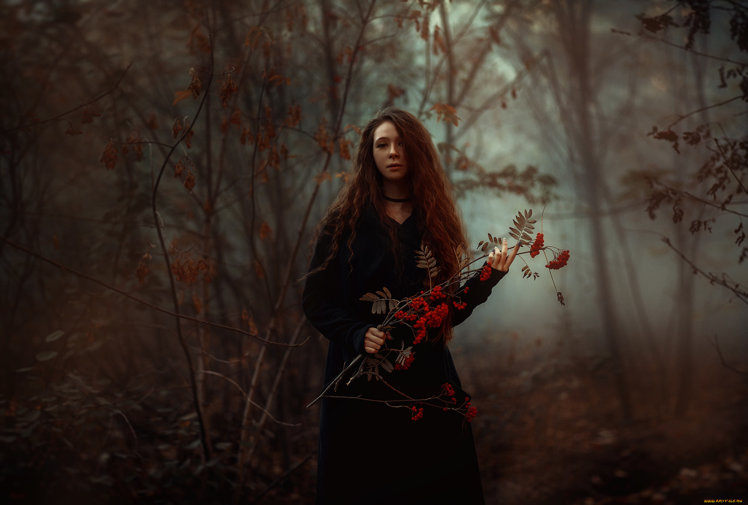 девушка, девушки, -unsort, , рыжеволосые, и, другие, модель