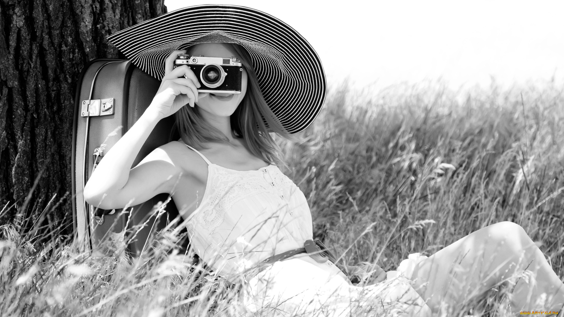 девушки, -unsort, , черно-белые, обои, платье, камера, фотоаппарат, шляпа, трава, дерево, чемодан