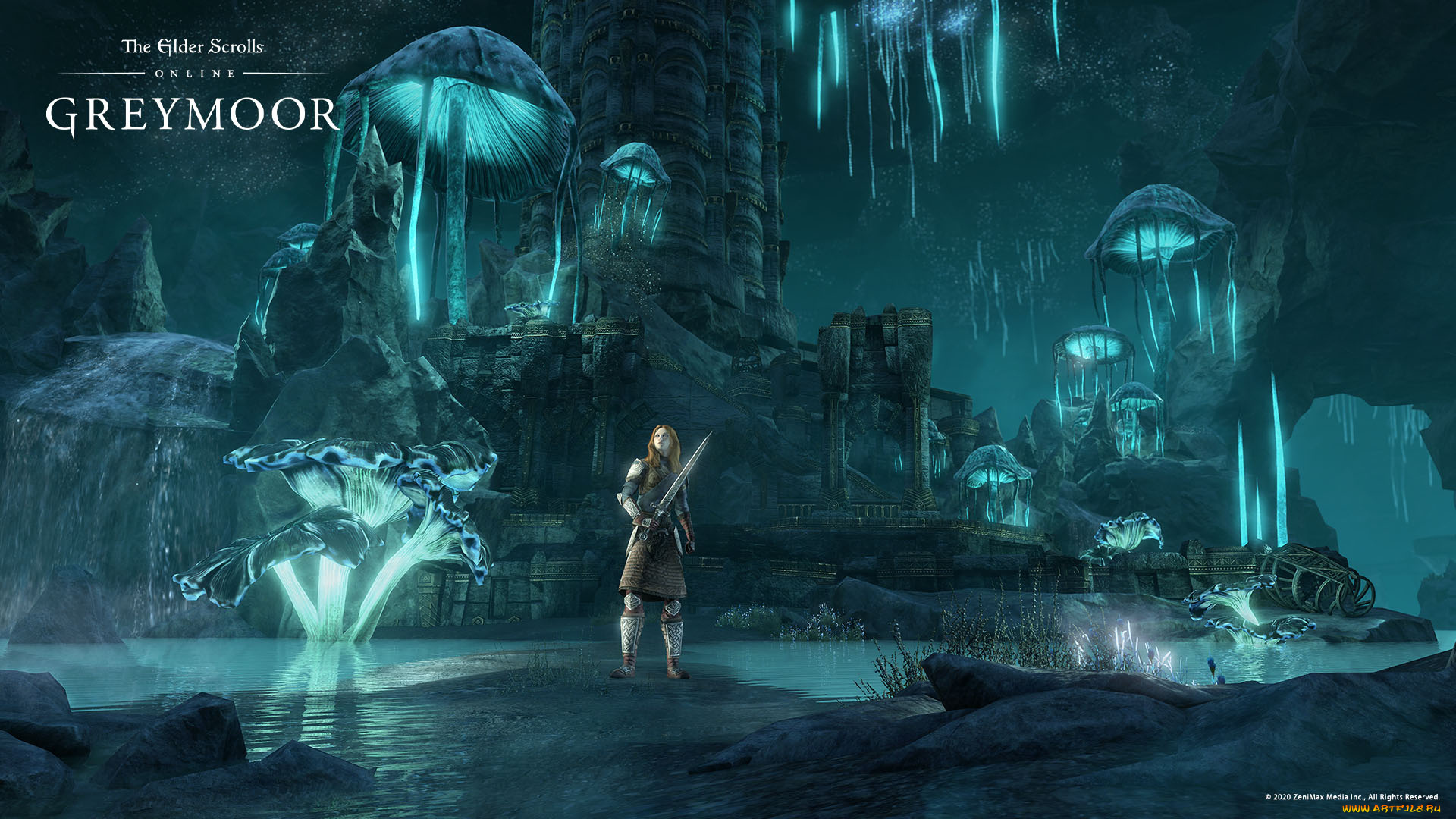 видео, игры, the, elder, scrolls, online, the, elder, scrolls, online, игра, ролевая, онлайн