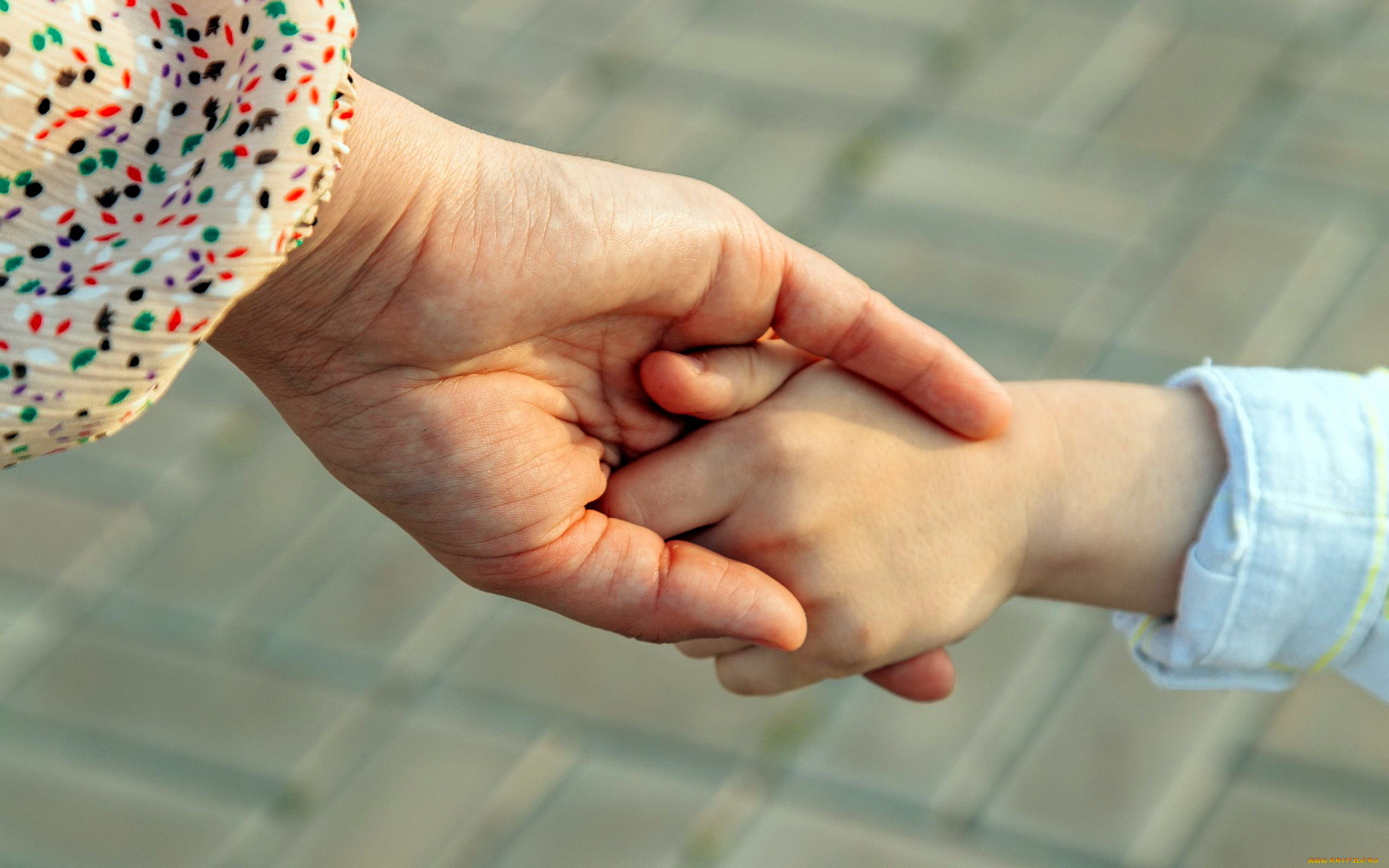 разное, руки, , ноги