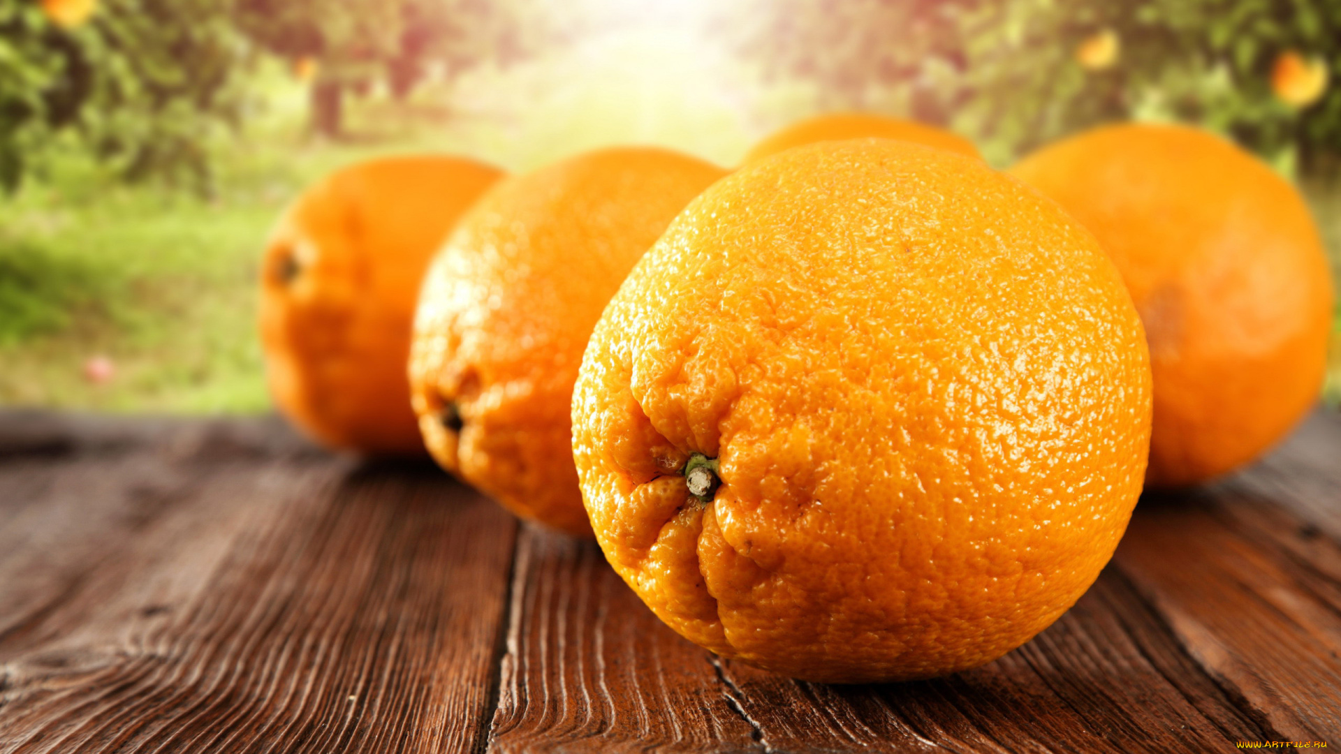 еда, цитрусы, апельсины