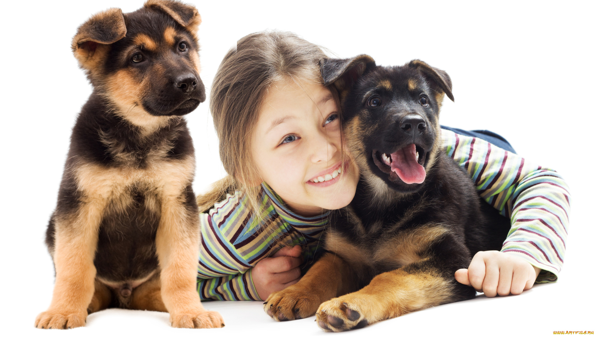 разное, дети, девочка, щенки