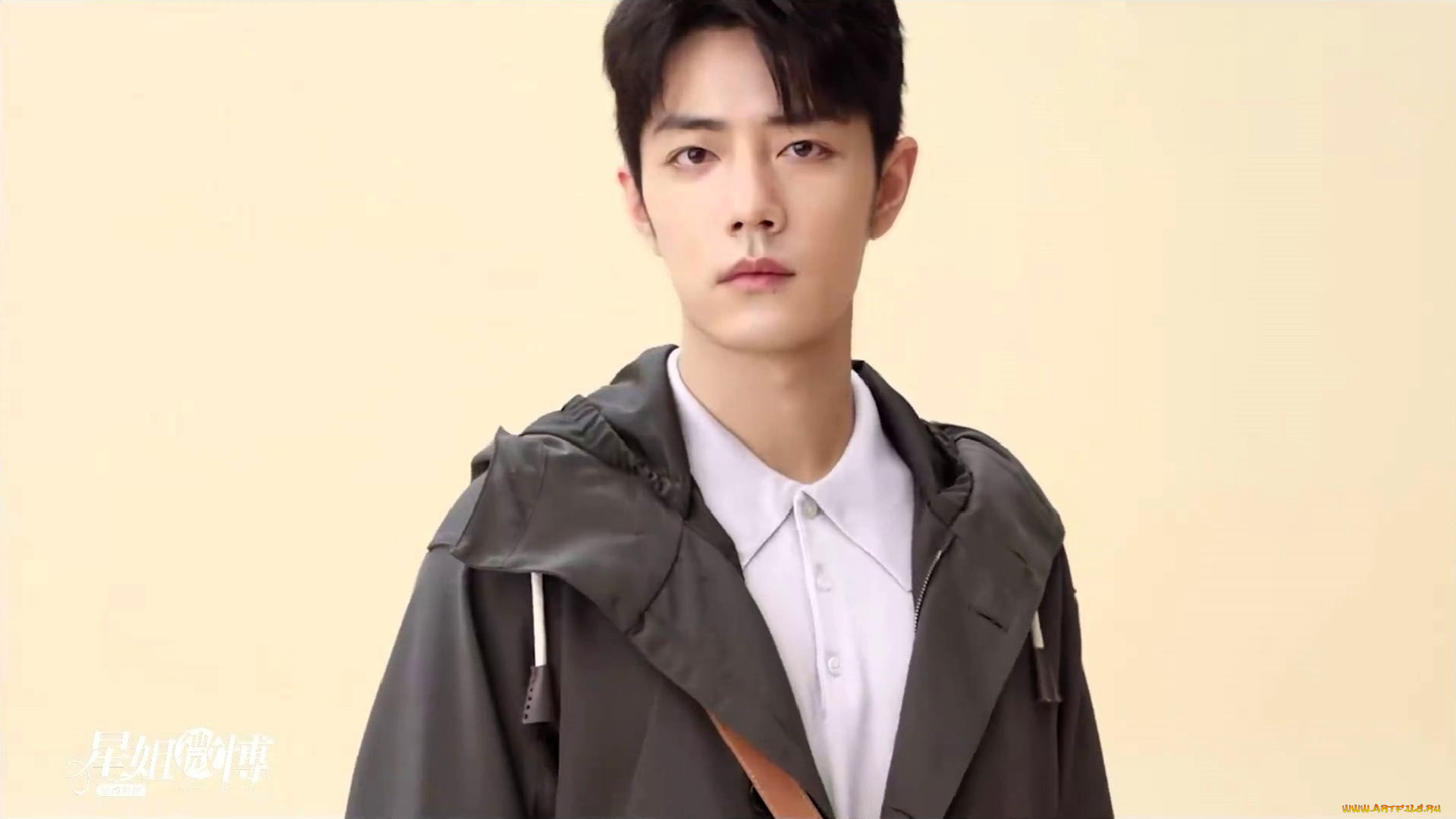 мужчины, xiao, zhan, актер, куртка