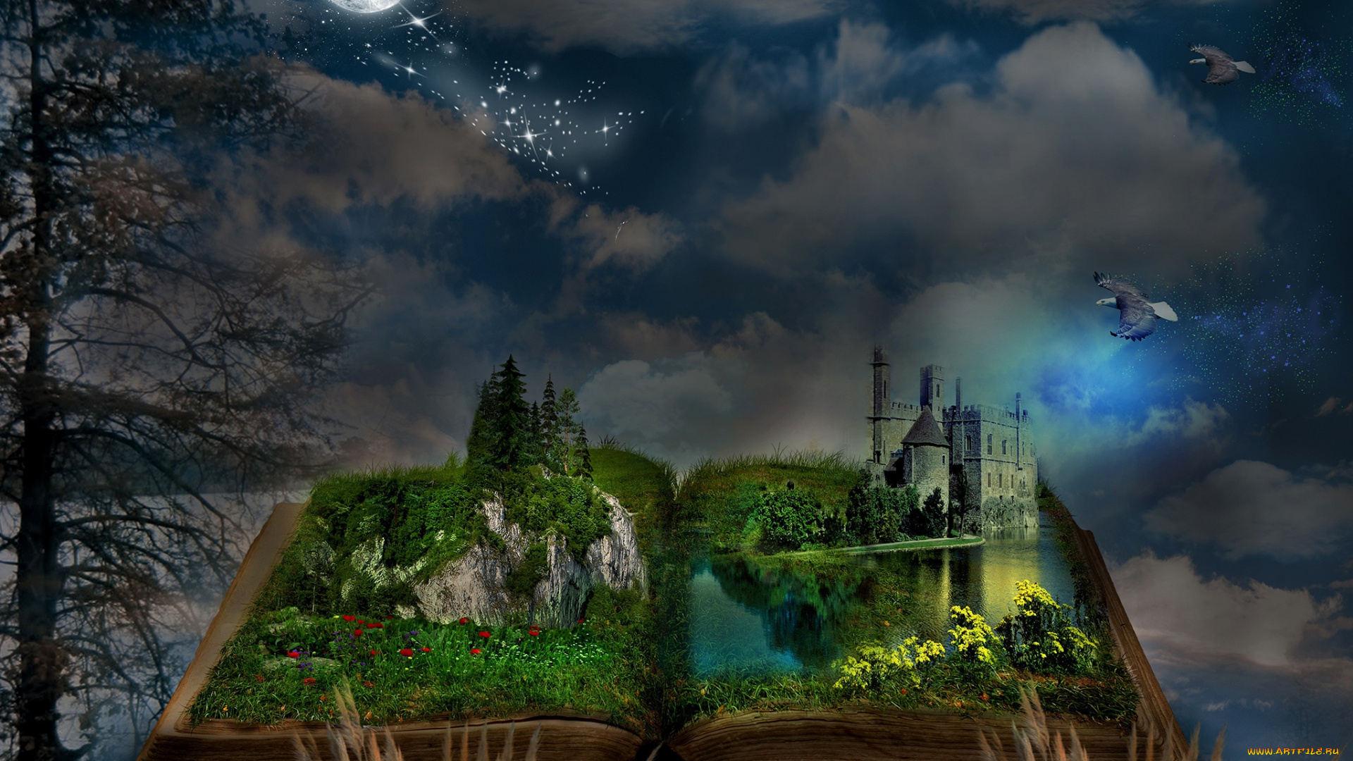 разное, компьютерный, дизайн, книга