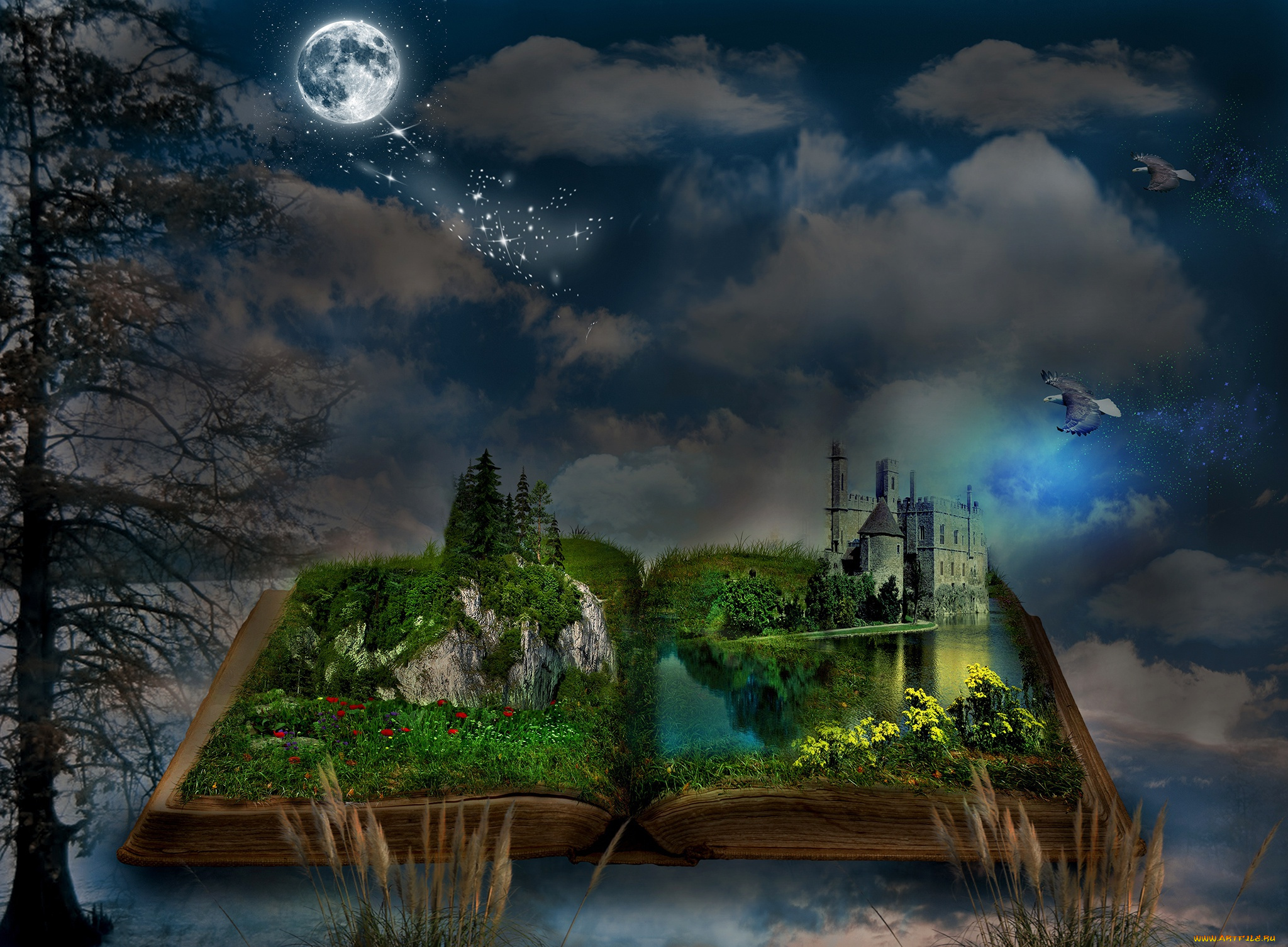 разное, компьютерный, дизайн, книга