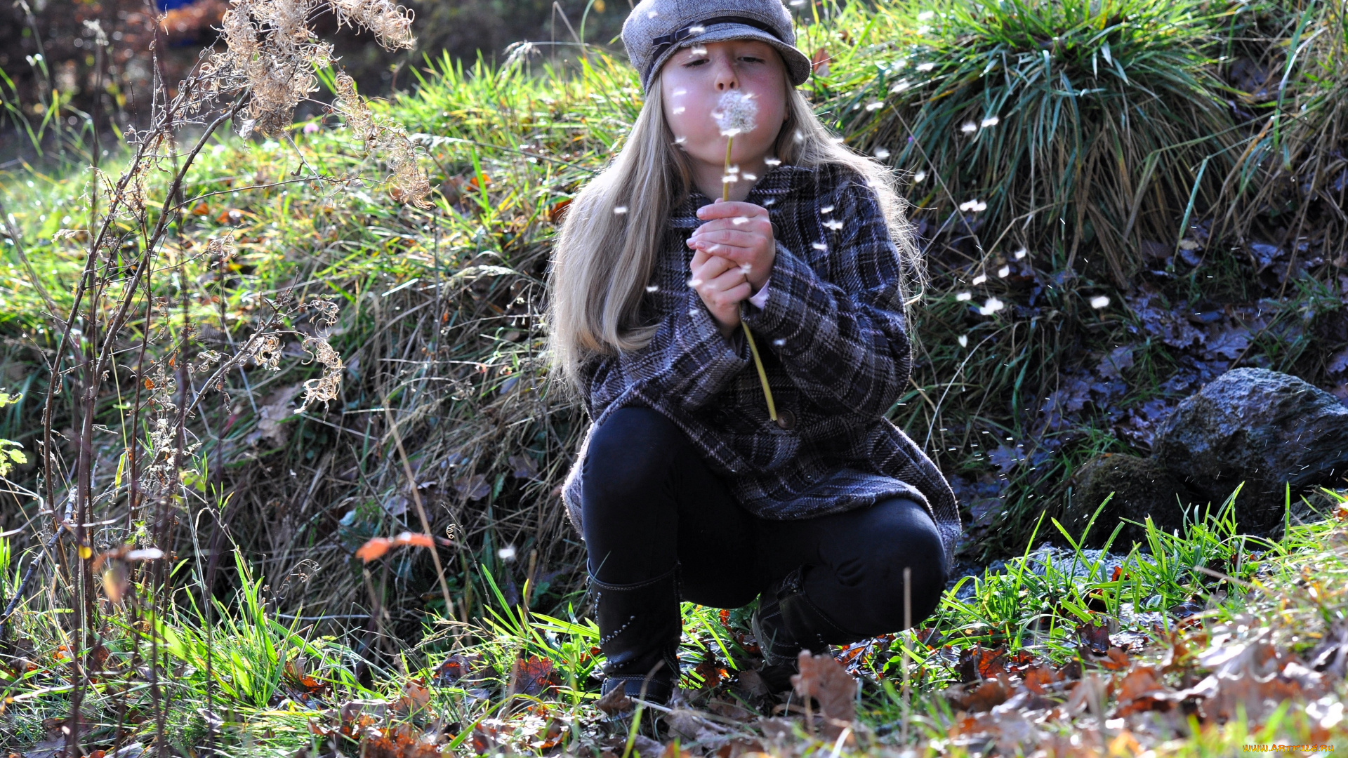 разное, дети, девочка, кепка, пальто, одуванчик, трава, листья