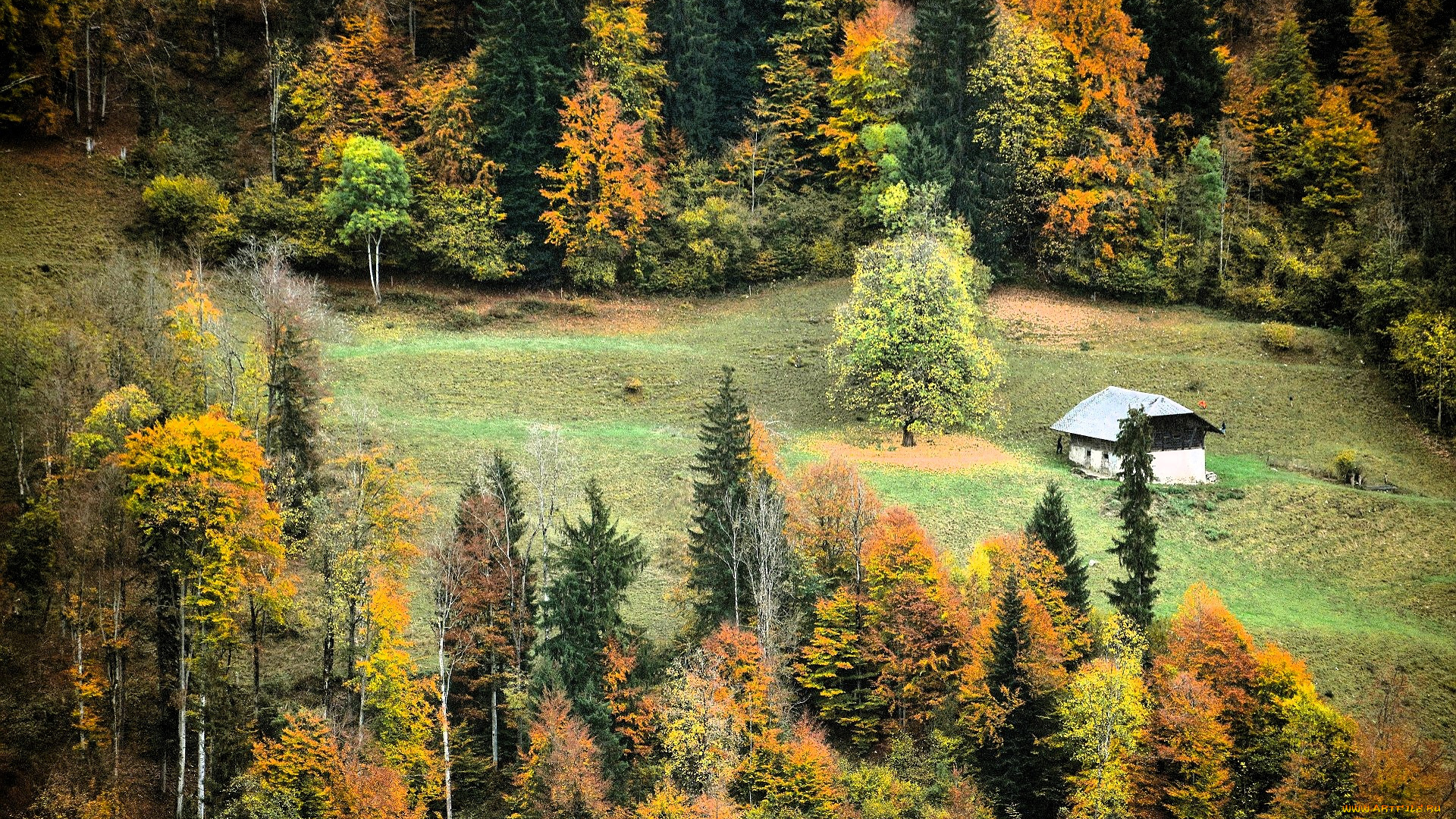 разное, сооружения, , постройки, строение, горы, лес, осень, поляна