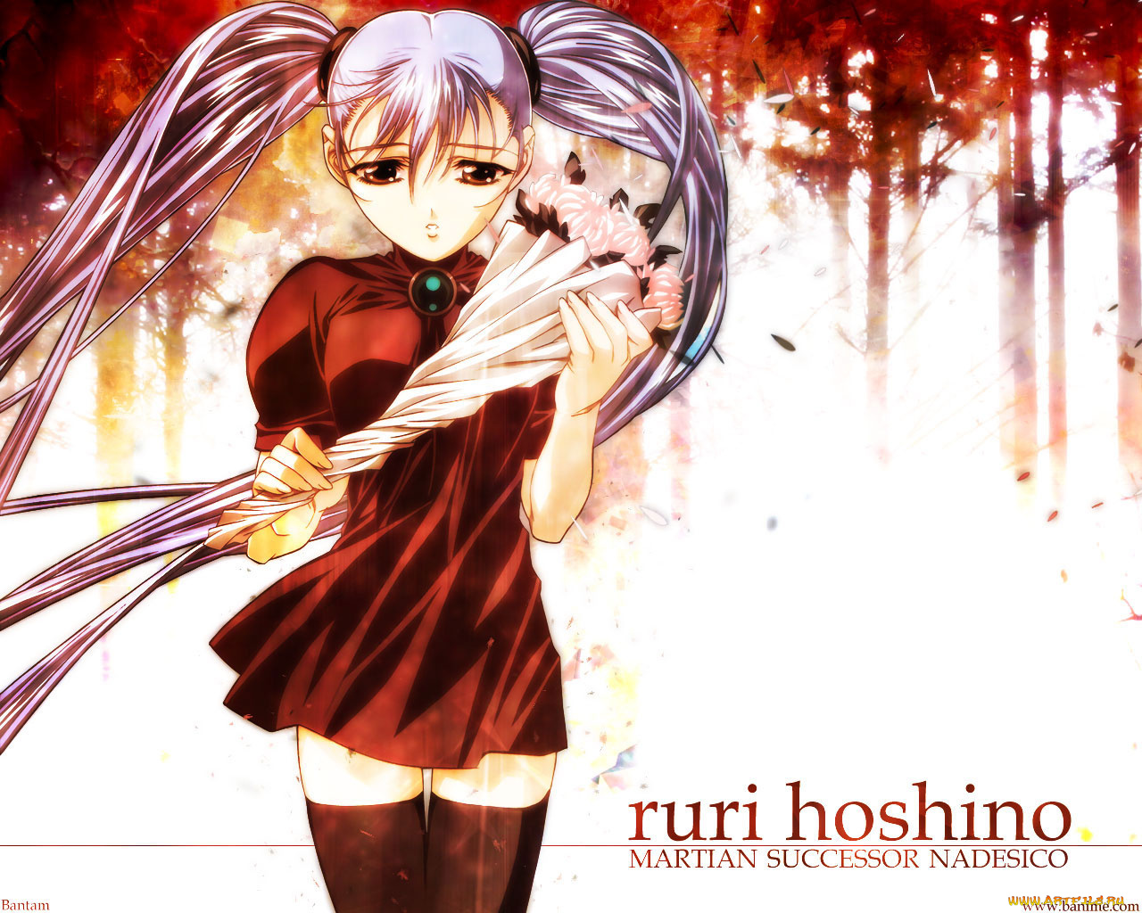 аниме, martian, successor, nadesico