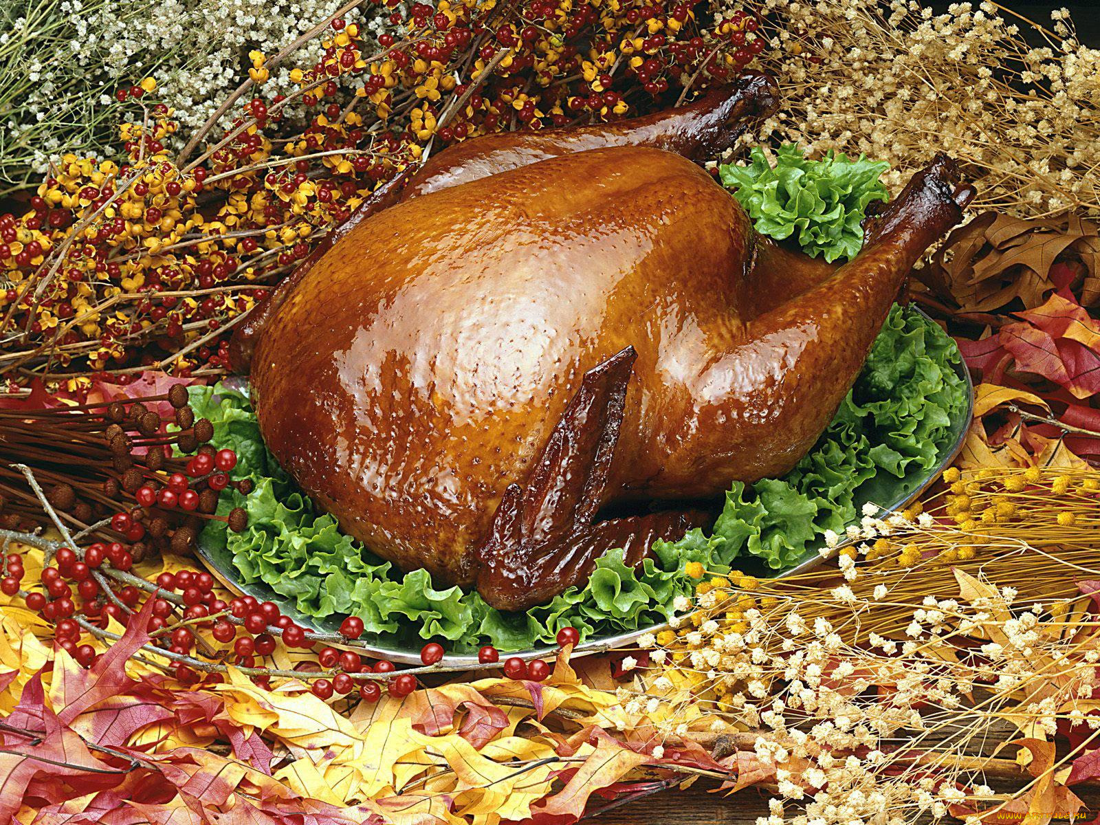 еда, мясные, блюда