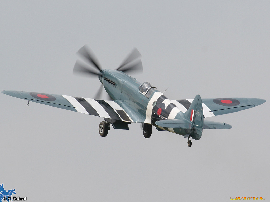 авиация, лёгкие, одномоторные, самолёты