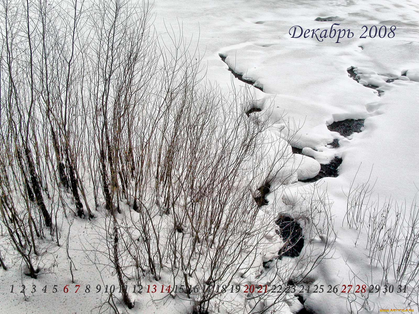 календарь, на, декабрь, календари, природа
