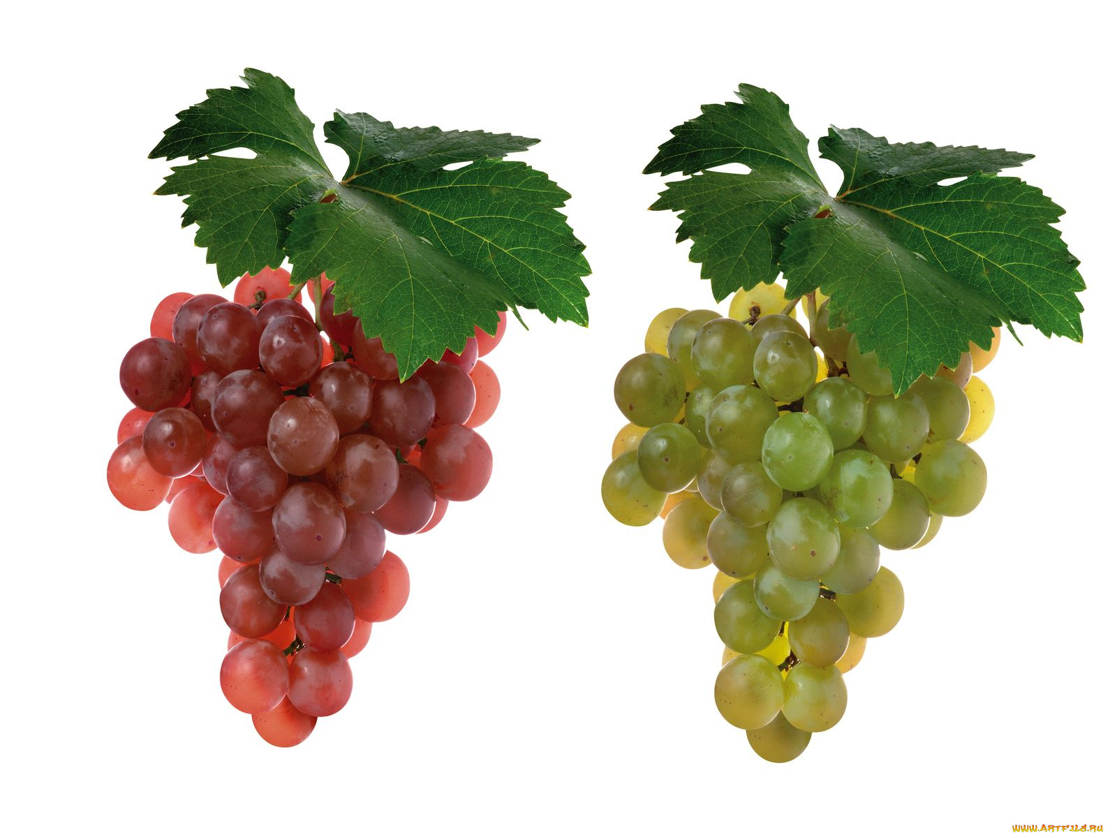 еда, виноград