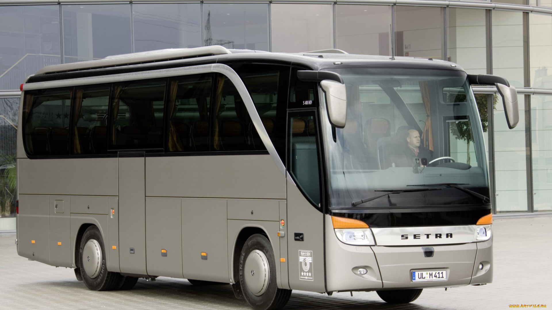 автомобили, автобусы