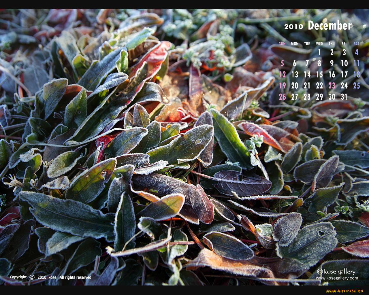 календари, природа