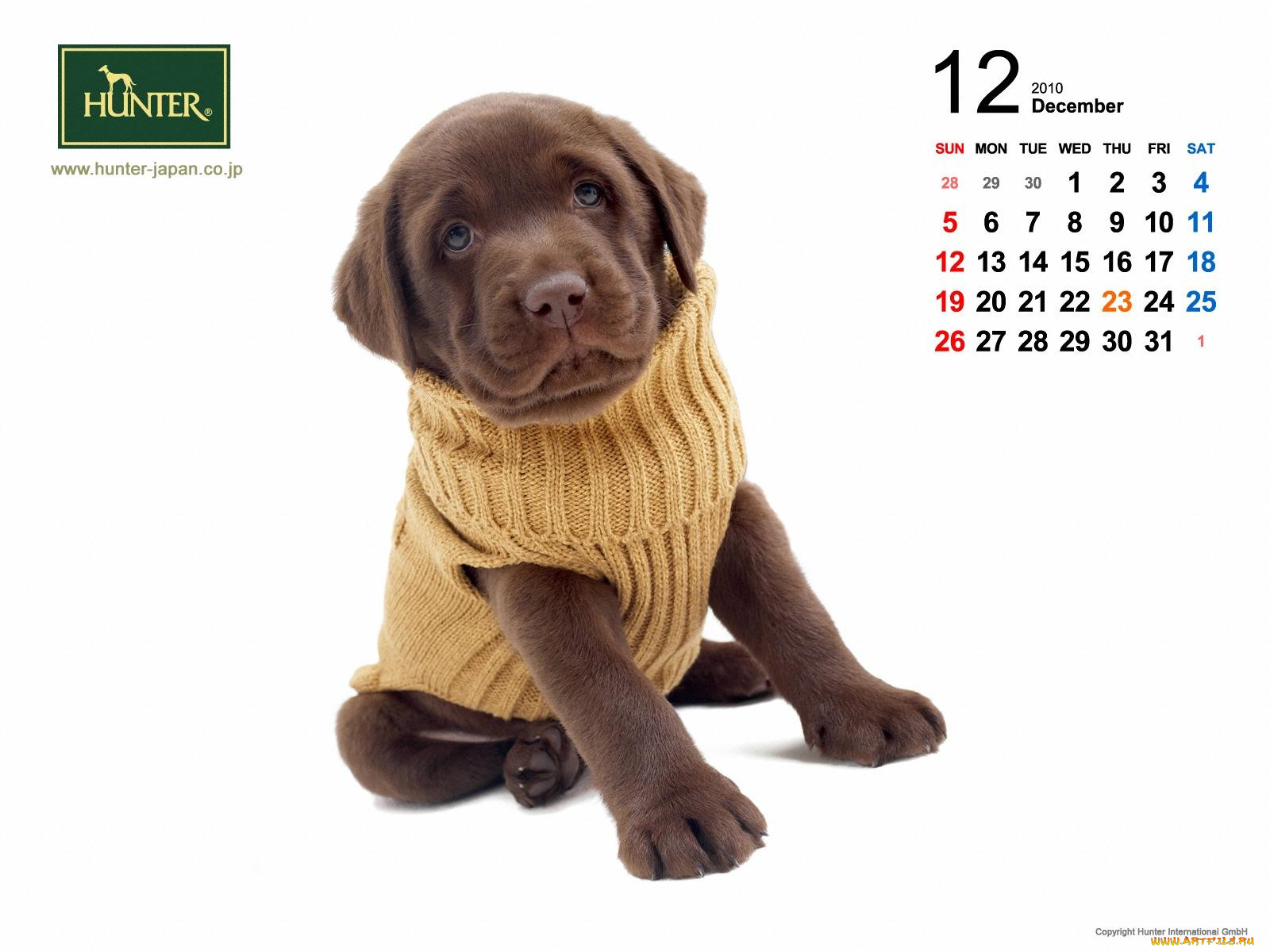 бренды, hunter