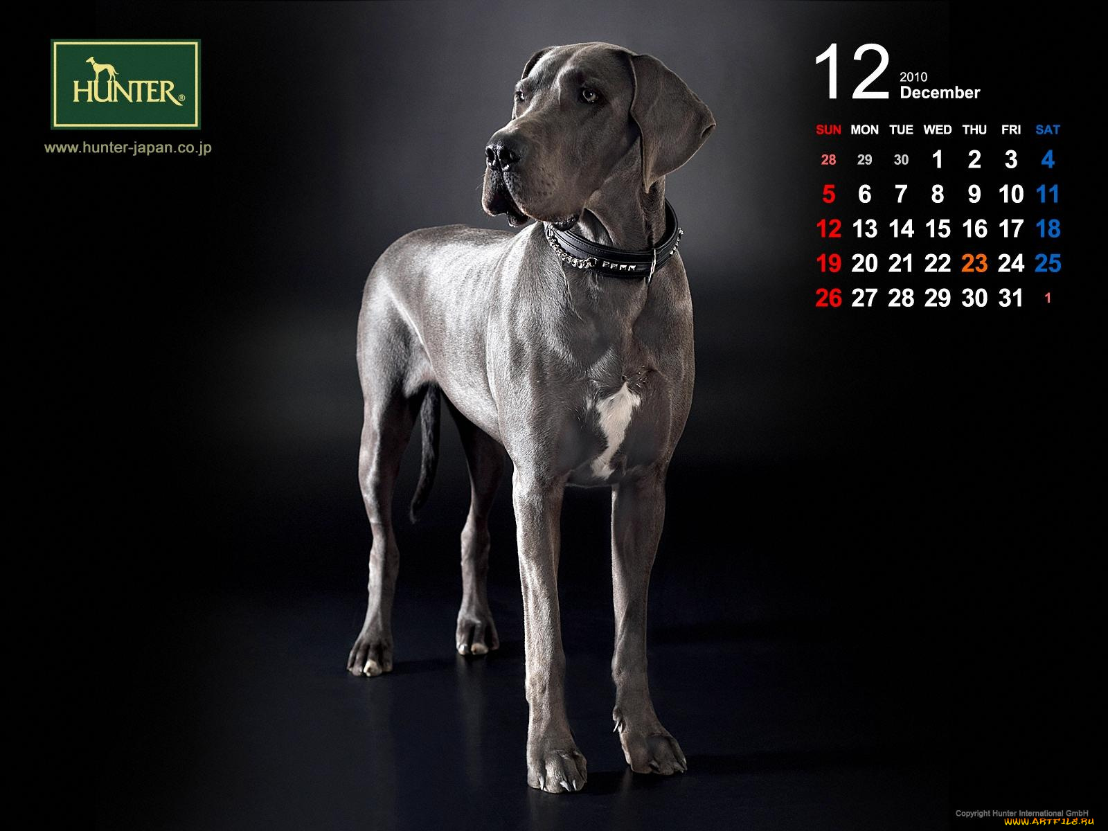 бренды, hunter