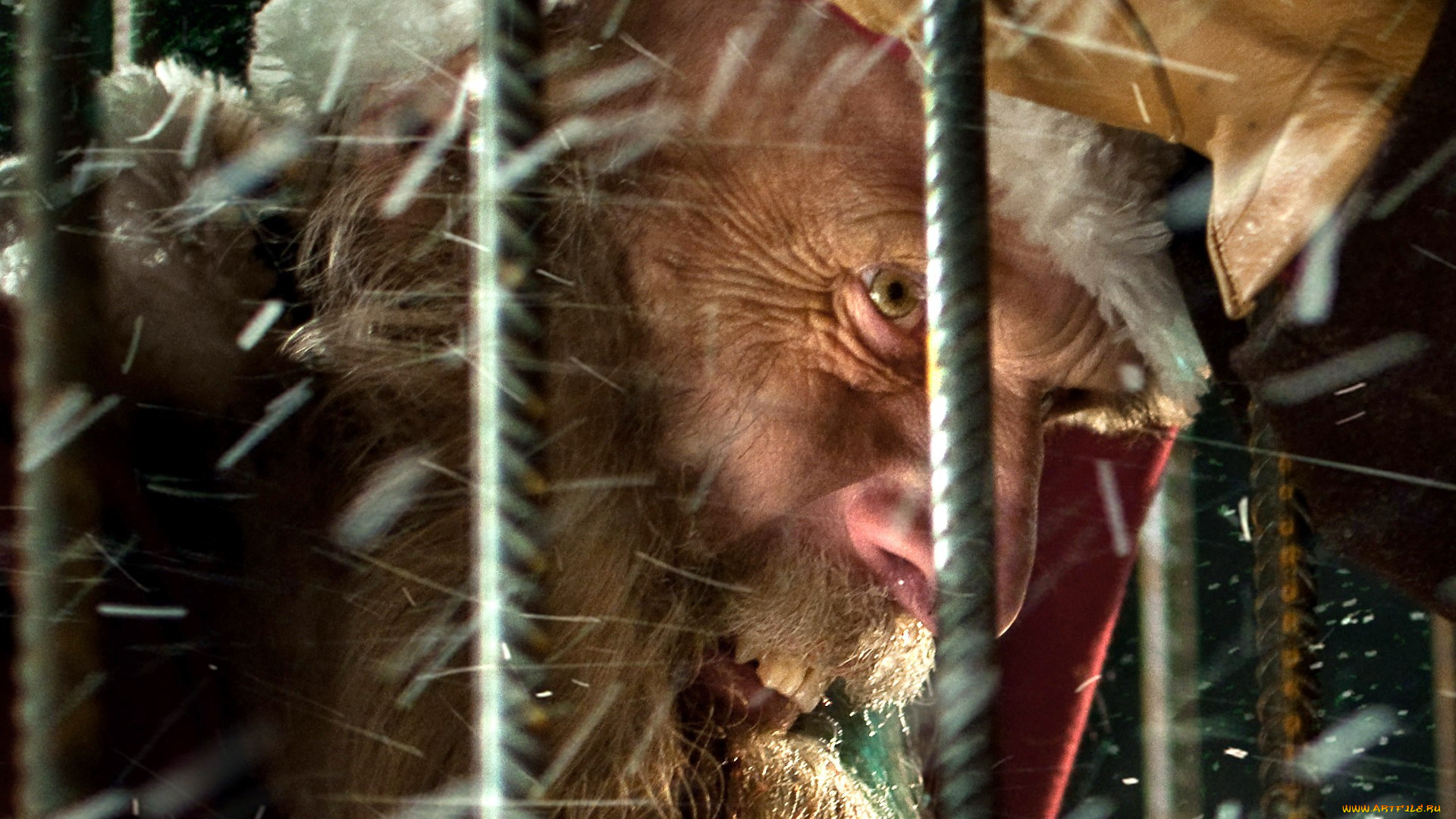 rare, exports, кино, фильмы