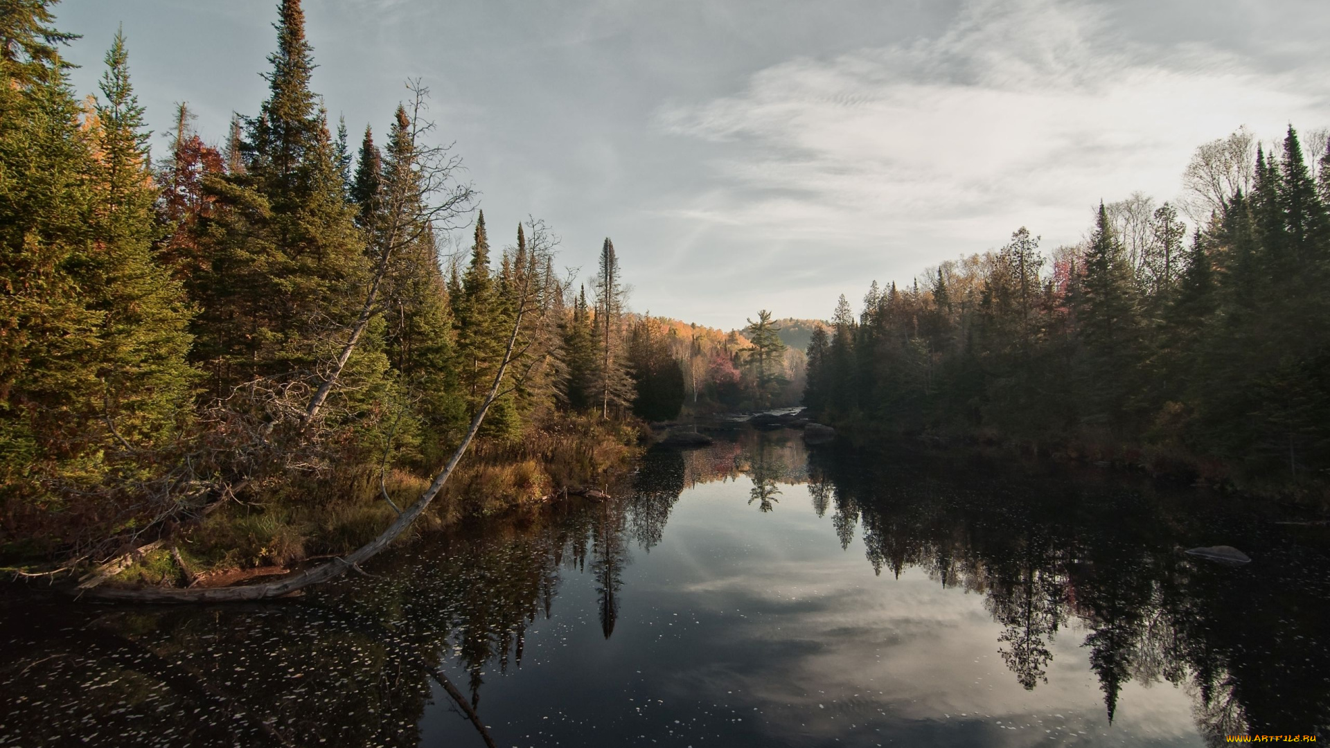 природа, реки, озера, пейзаж, река, деревья