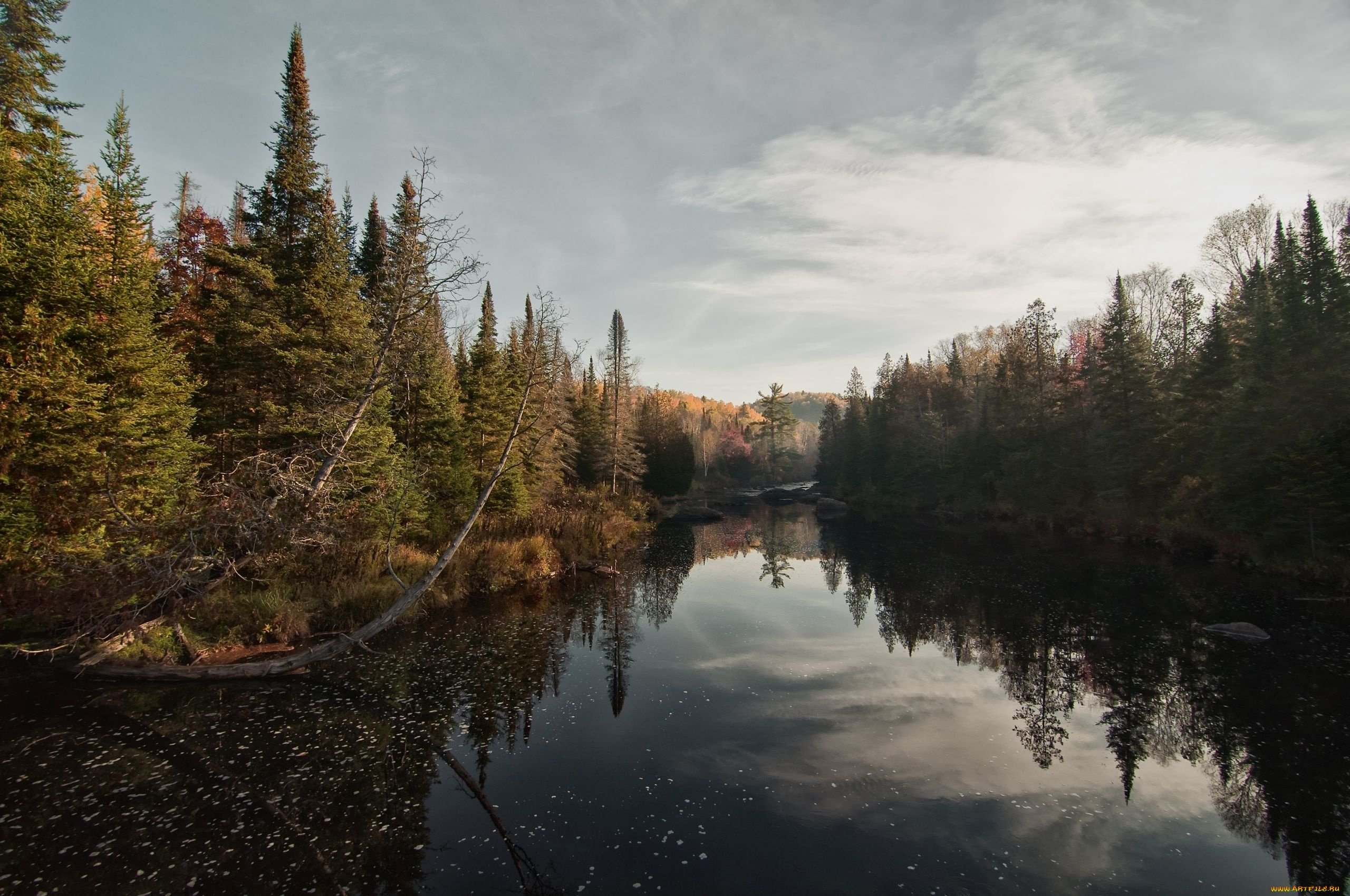 природа, реки, озера, пейзаж, река, деревья