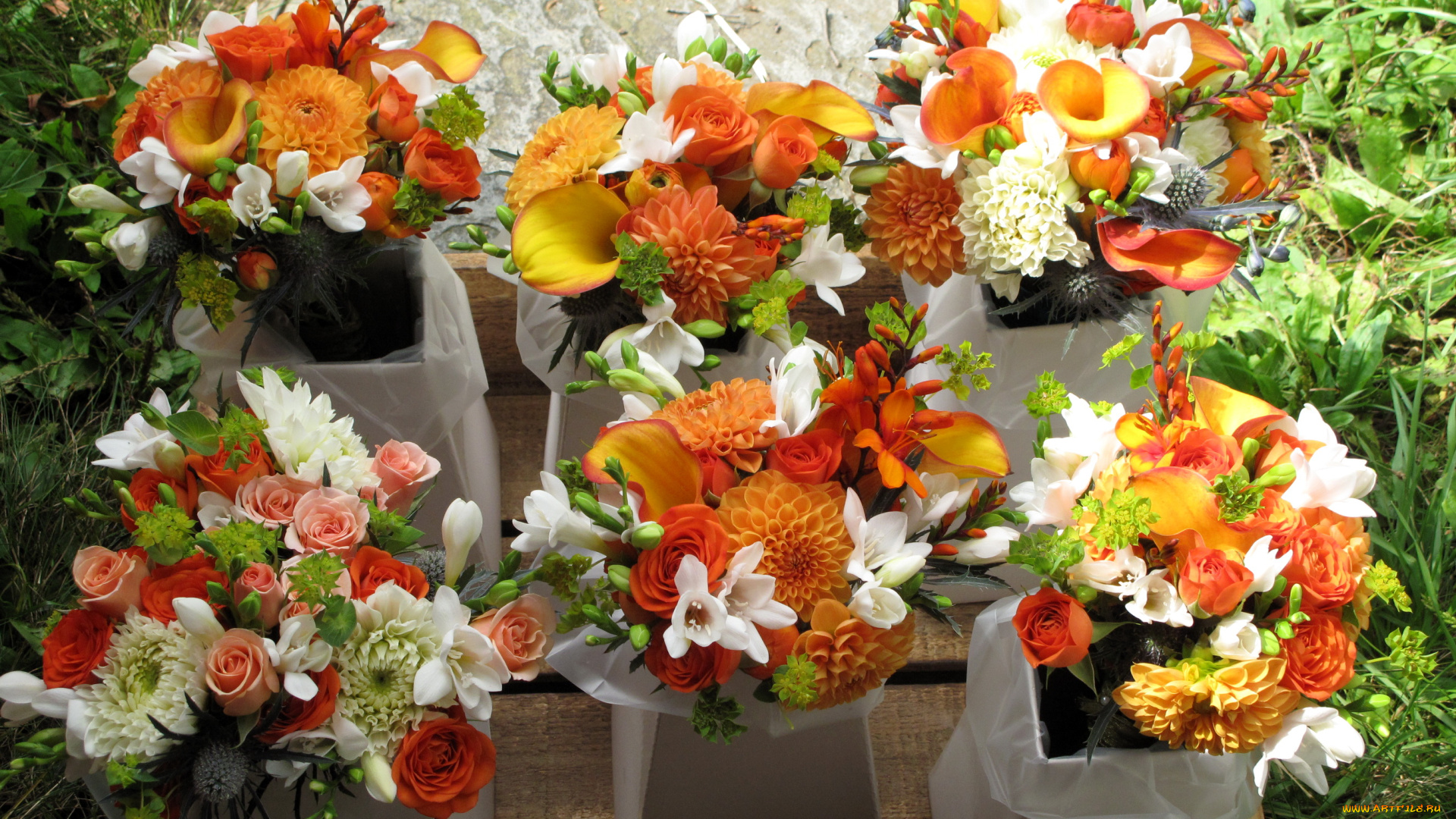 цветы, букеты, композиции, нарциссы, георгины, розы