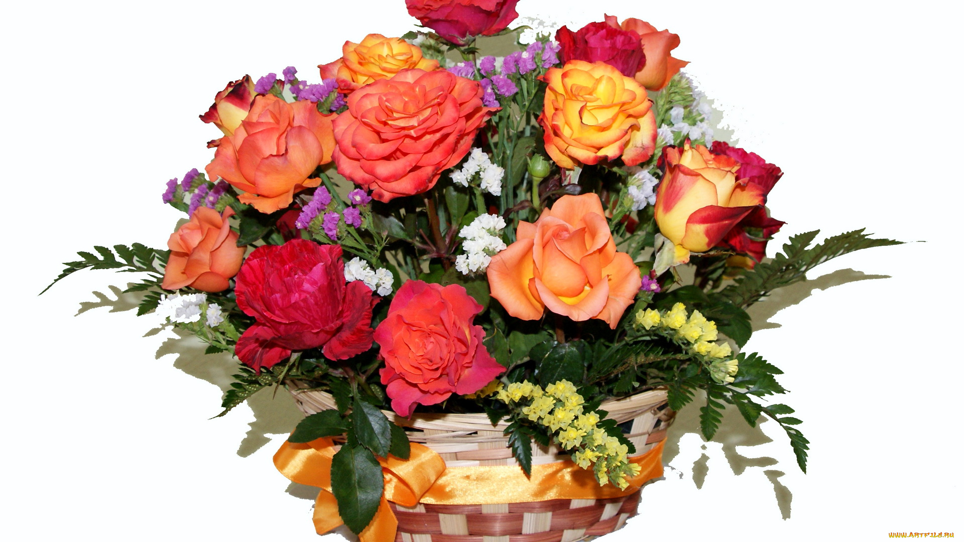 цветы, розы, букет, корзина