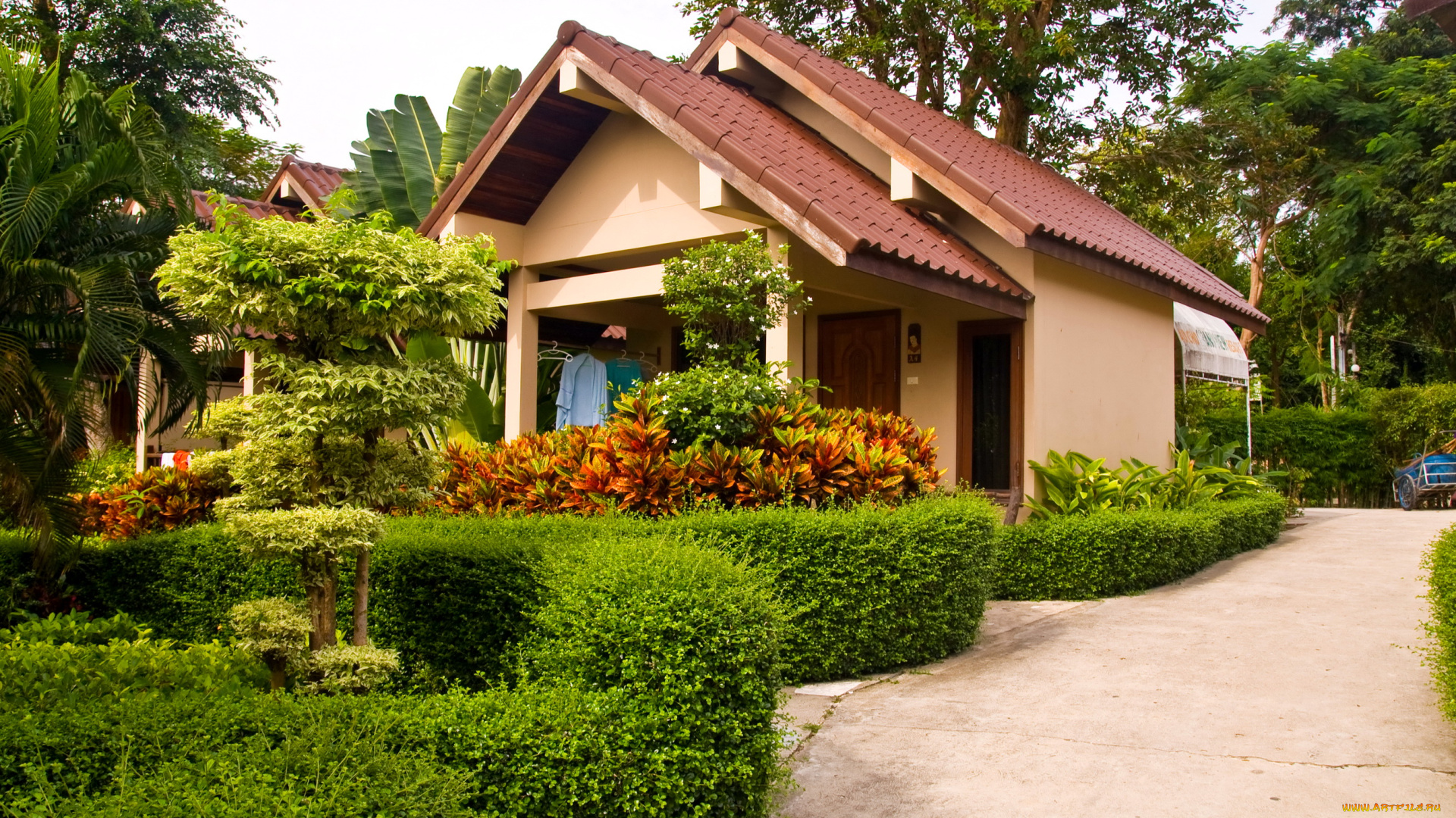 города, здания, дома, дом, сад