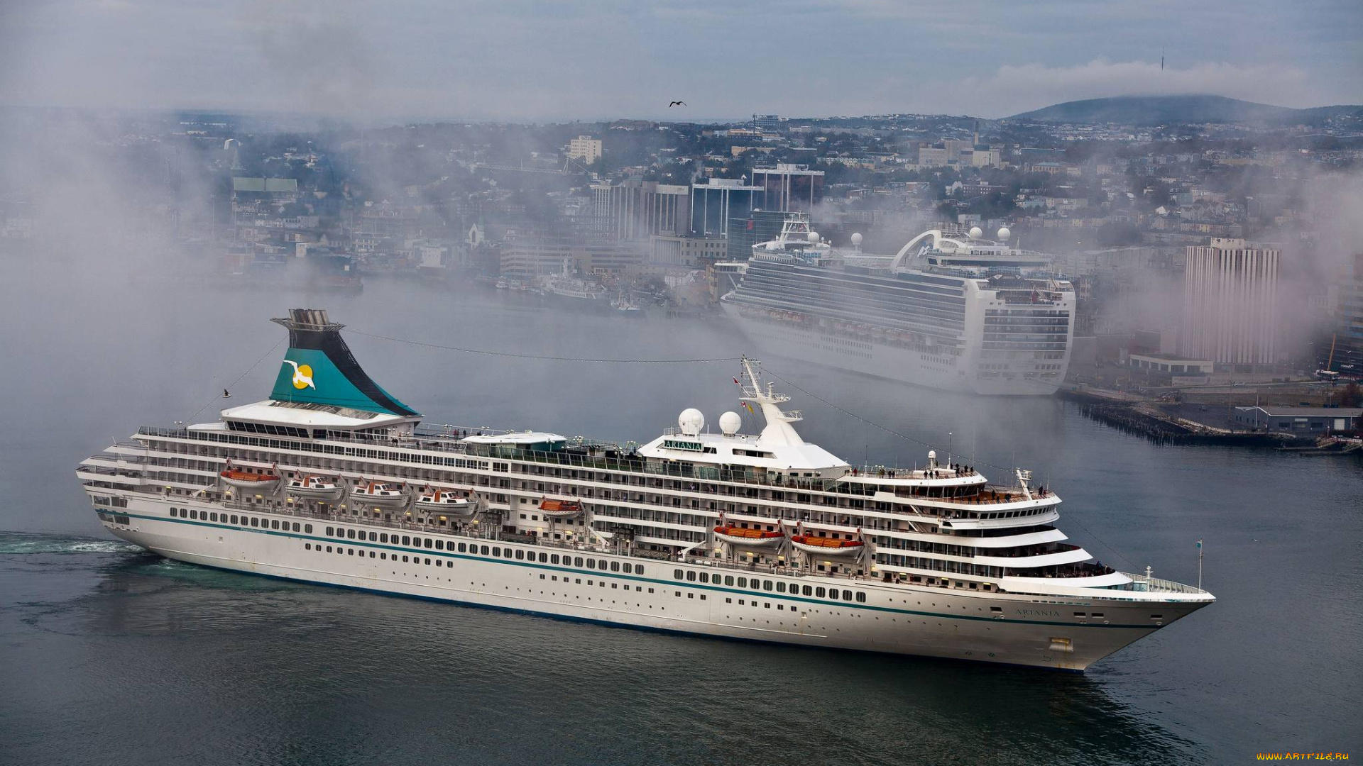 корабли, лайнеры, вода, круиз, туман