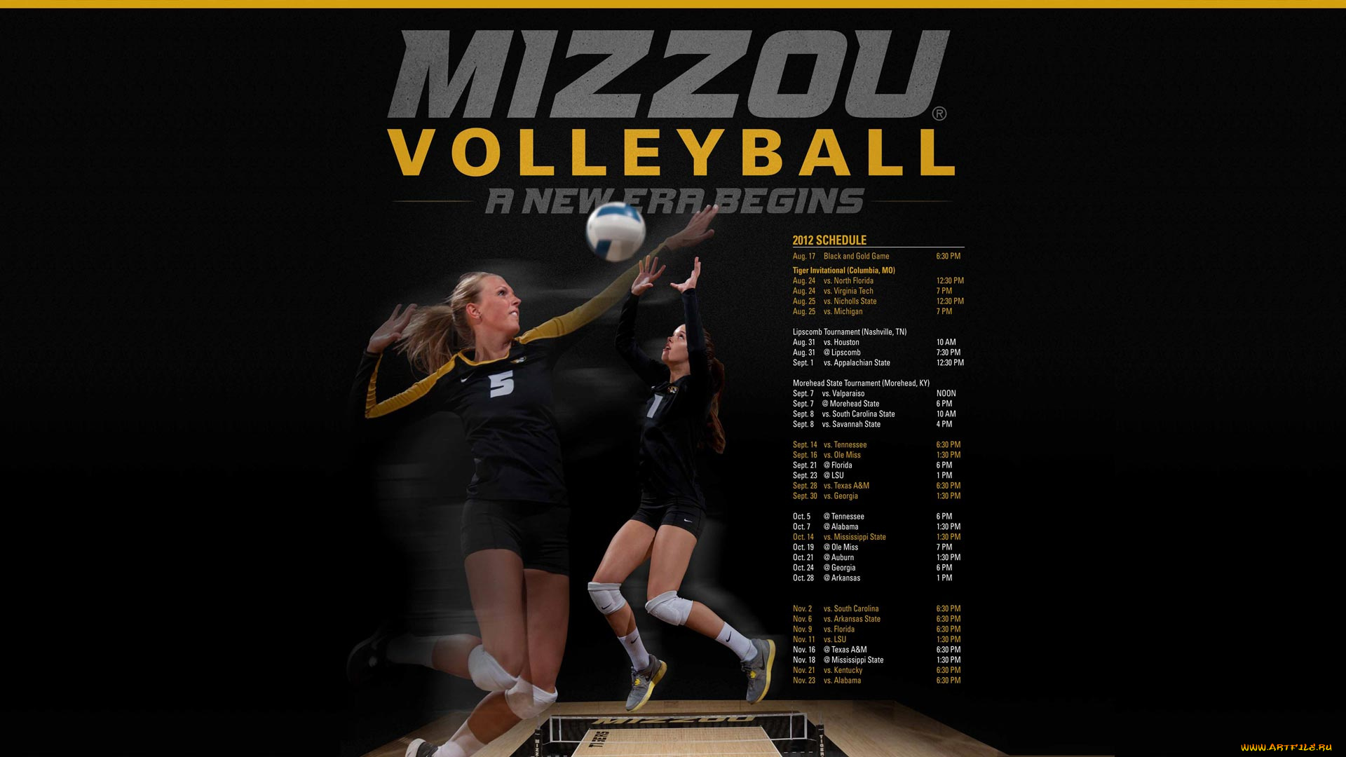 спорт, волейбол, чемпионат, женщины