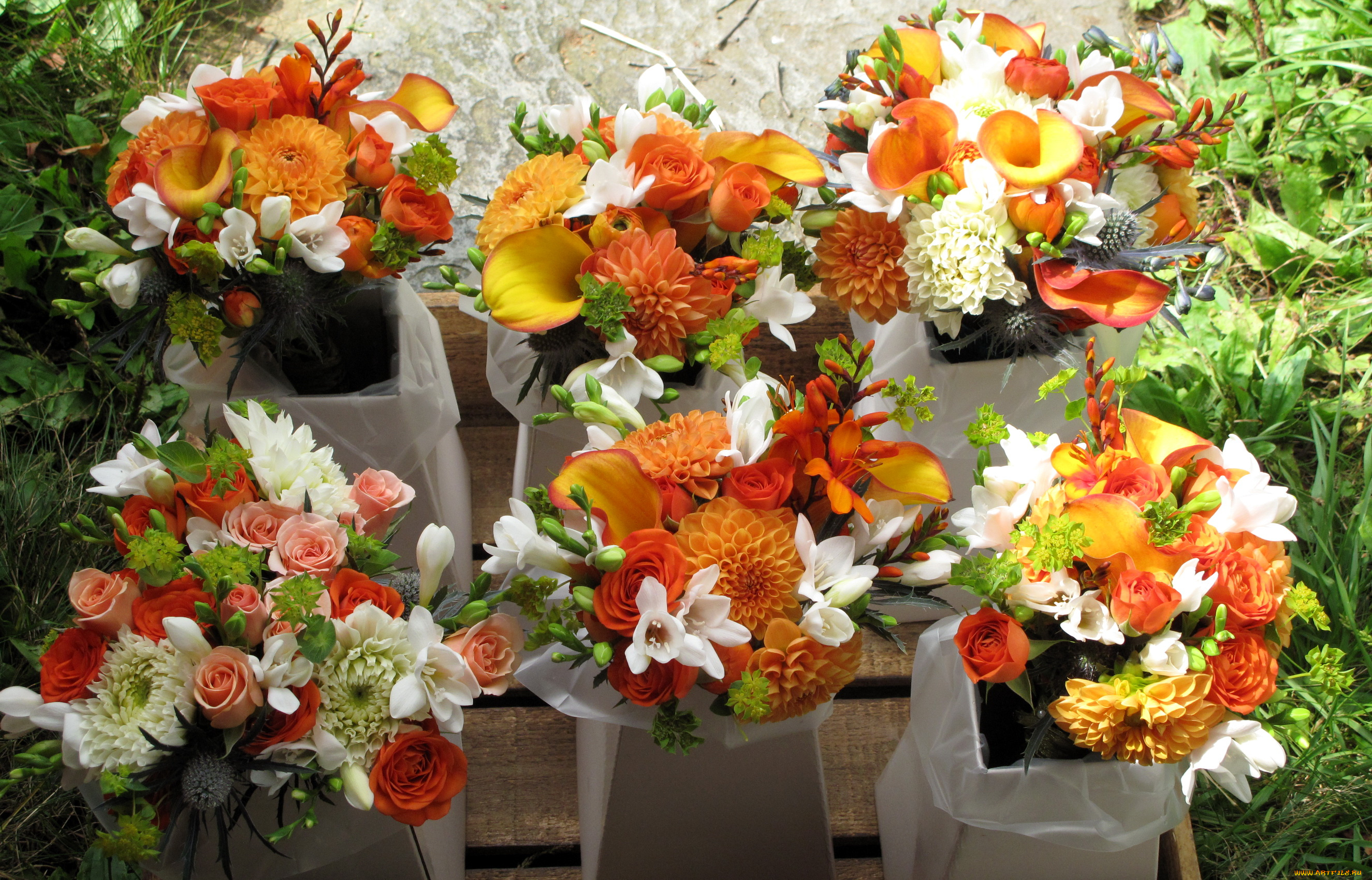 цветы, букеты, композиции, нарциссы, георгины, розы