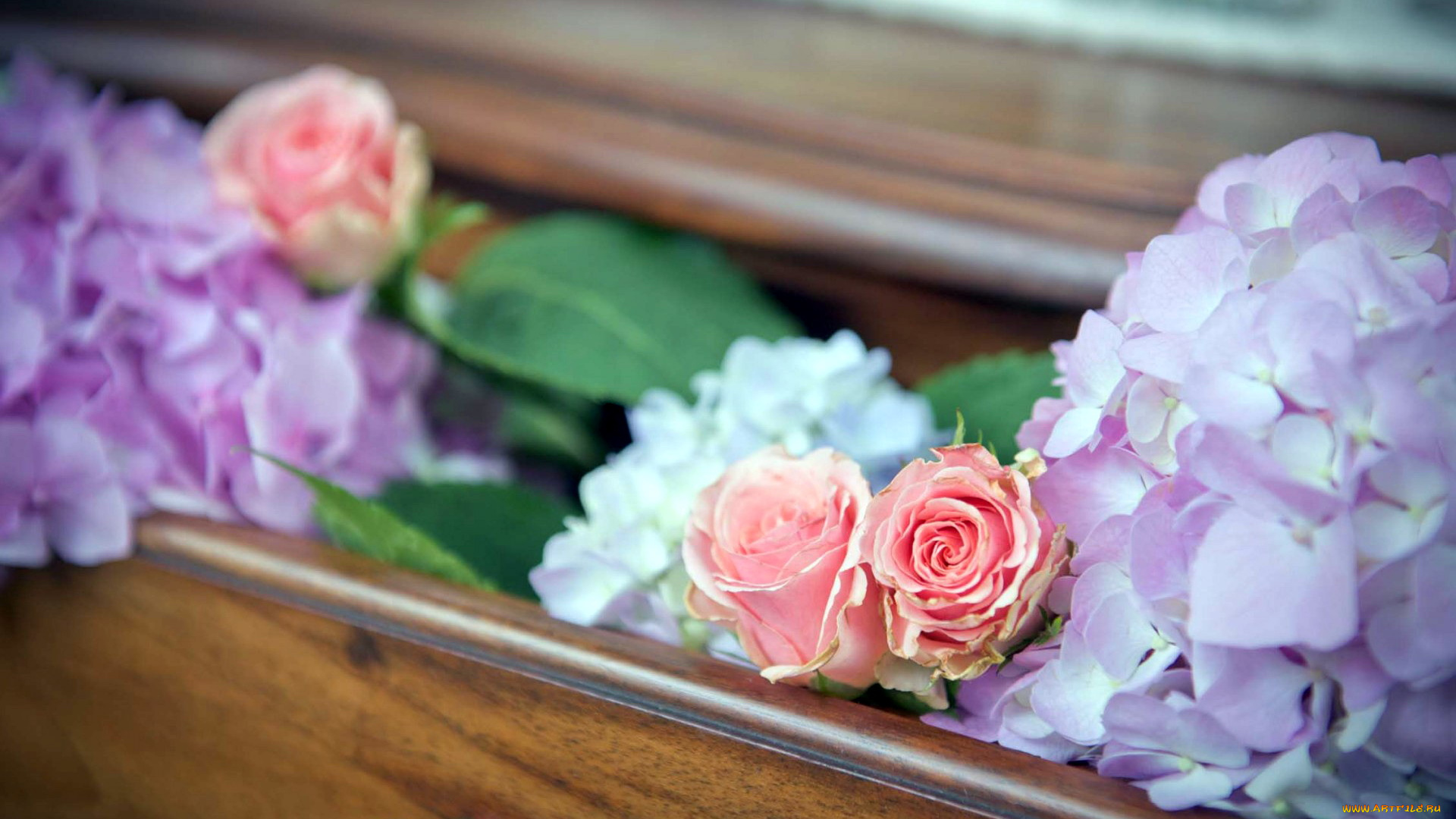 цветы, разные, вместе, розы, гортензия