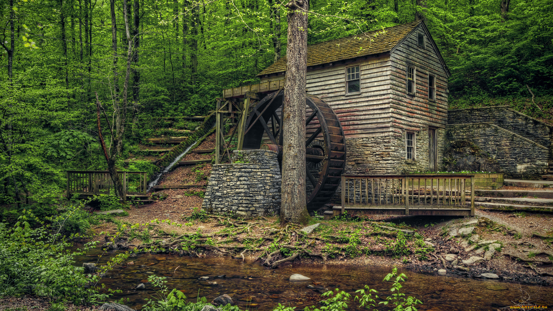 разное, мельницы, мельница, лес, река