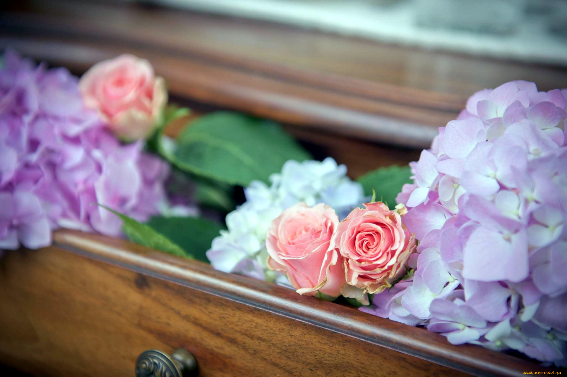 цветы, разные, вместе, розы, гортензия