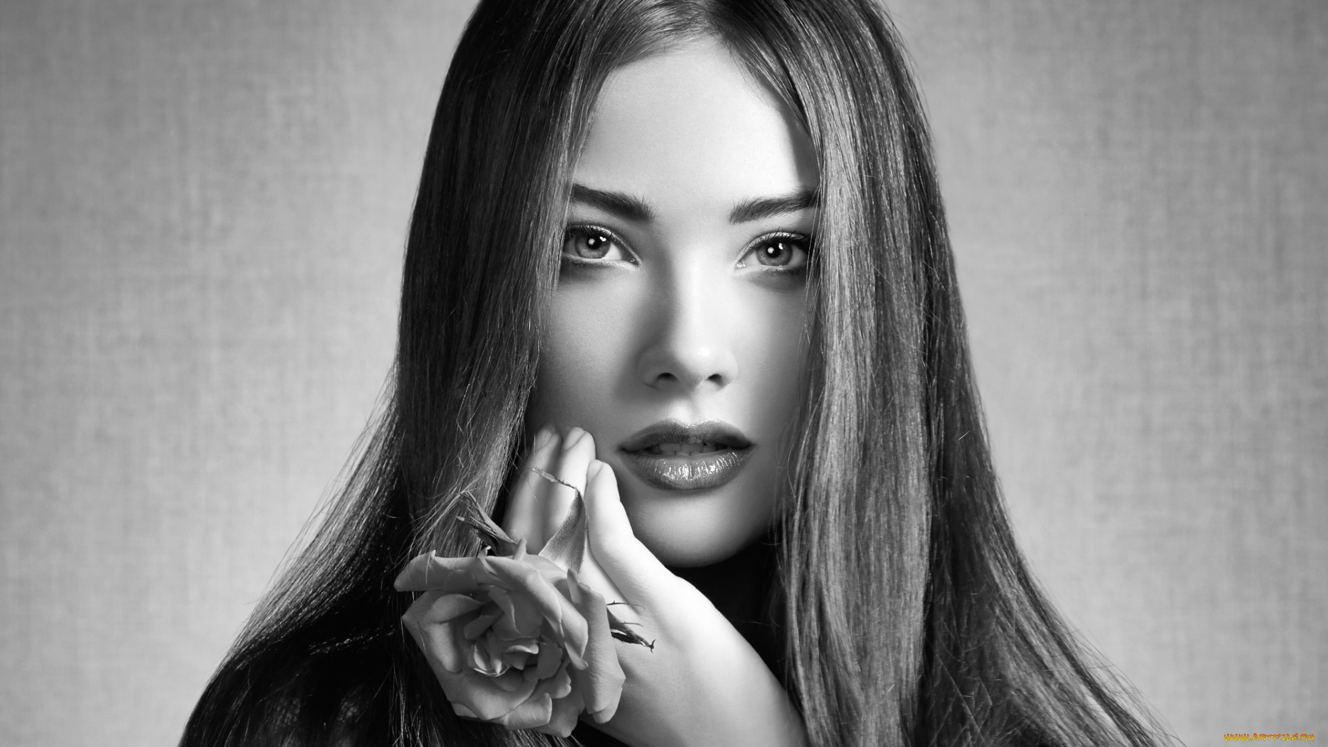 девушки, -unsort, , Черно-белые, обои, портрет, взгляд, beautiful, цветок