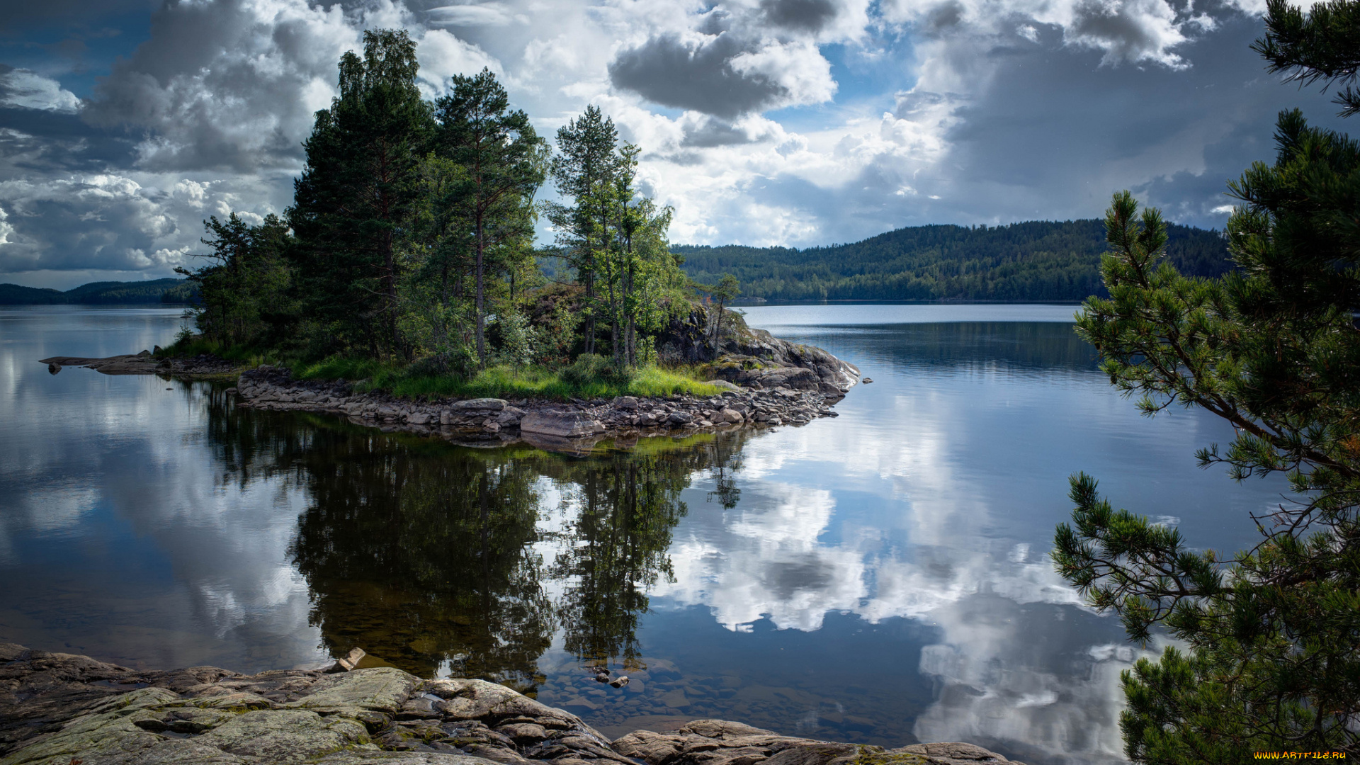 природа, реки, озера, река, лес, островок