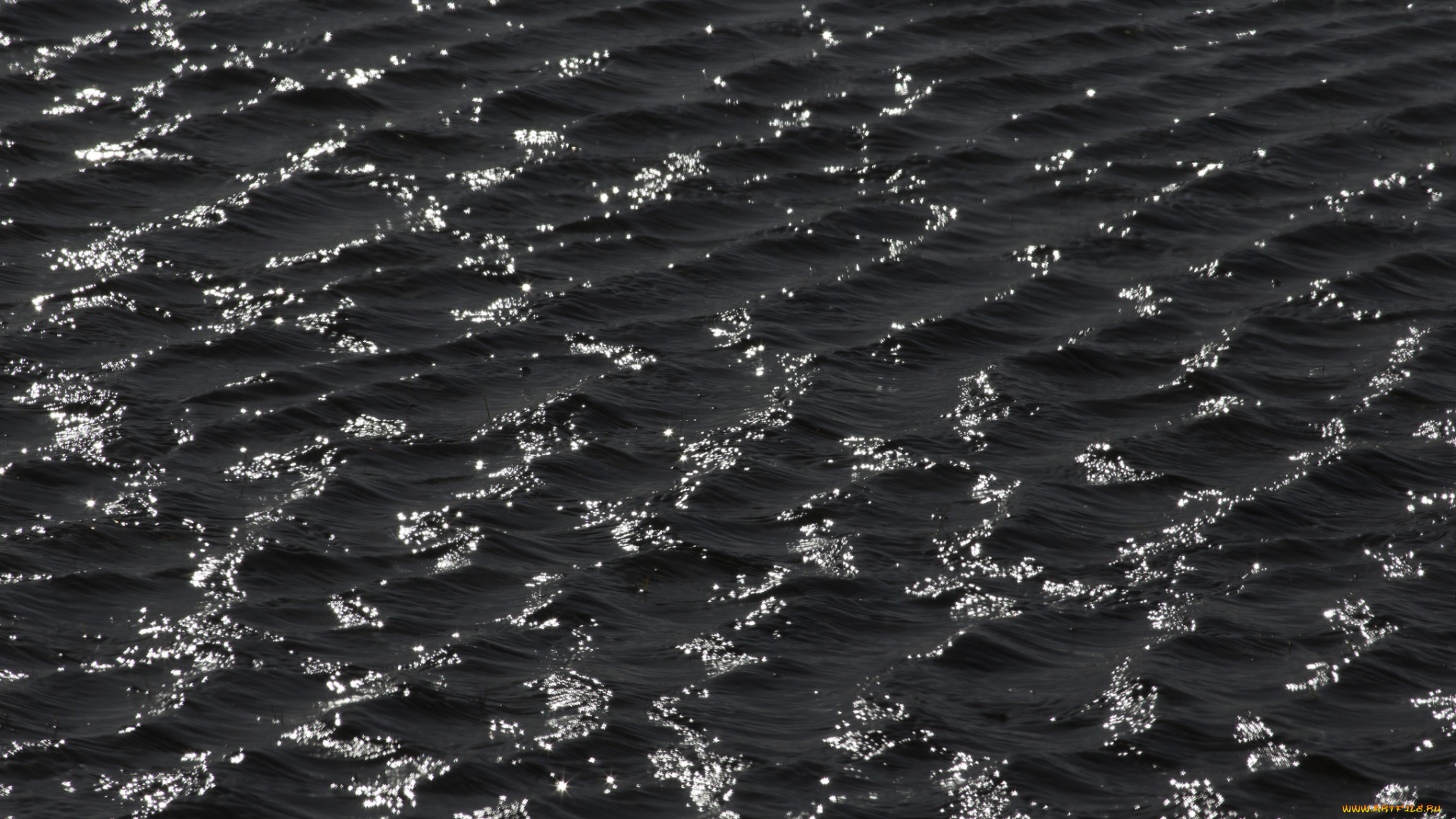 природа, вода, рябь, чёрно-белая, тёмная, волны