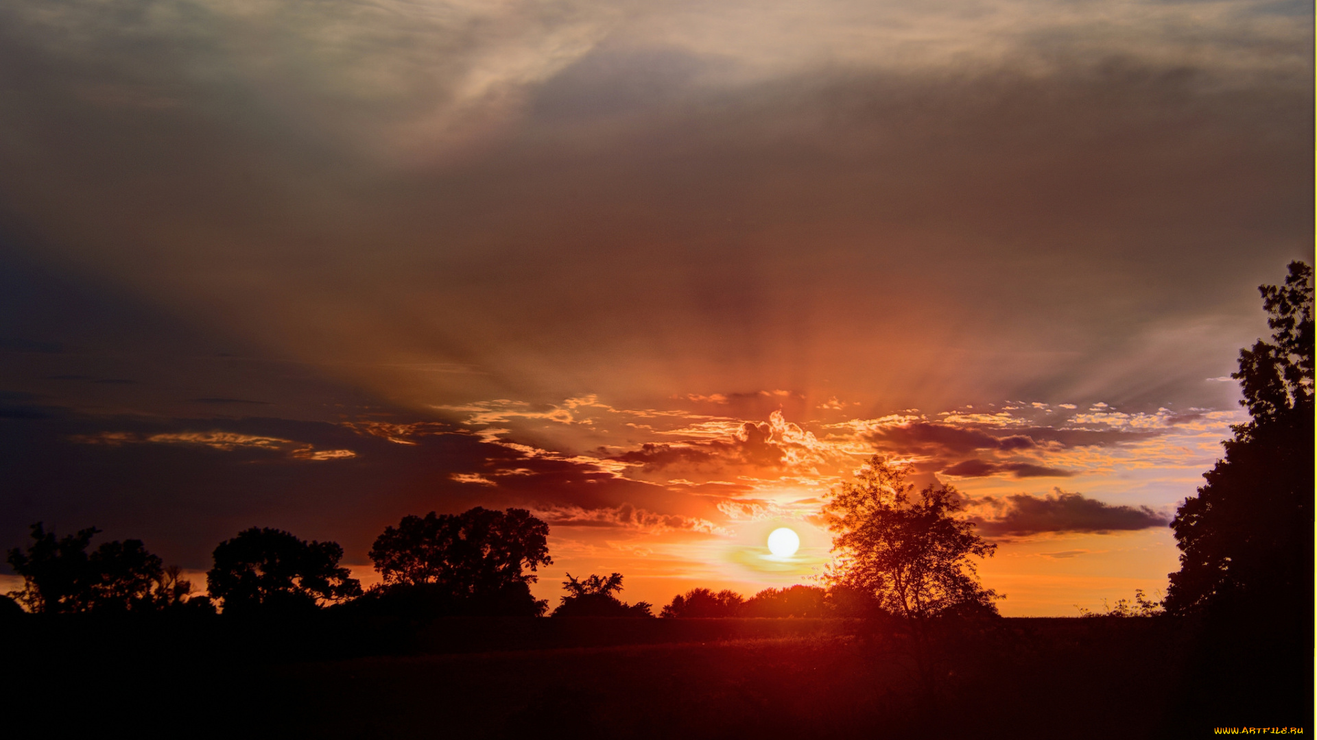 природа, восходы, закаты, небо, лучи, поле, закат