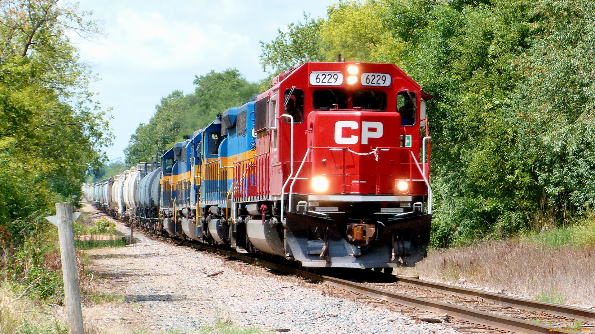 техника, поезда, состав, локомотив, дорога, железная