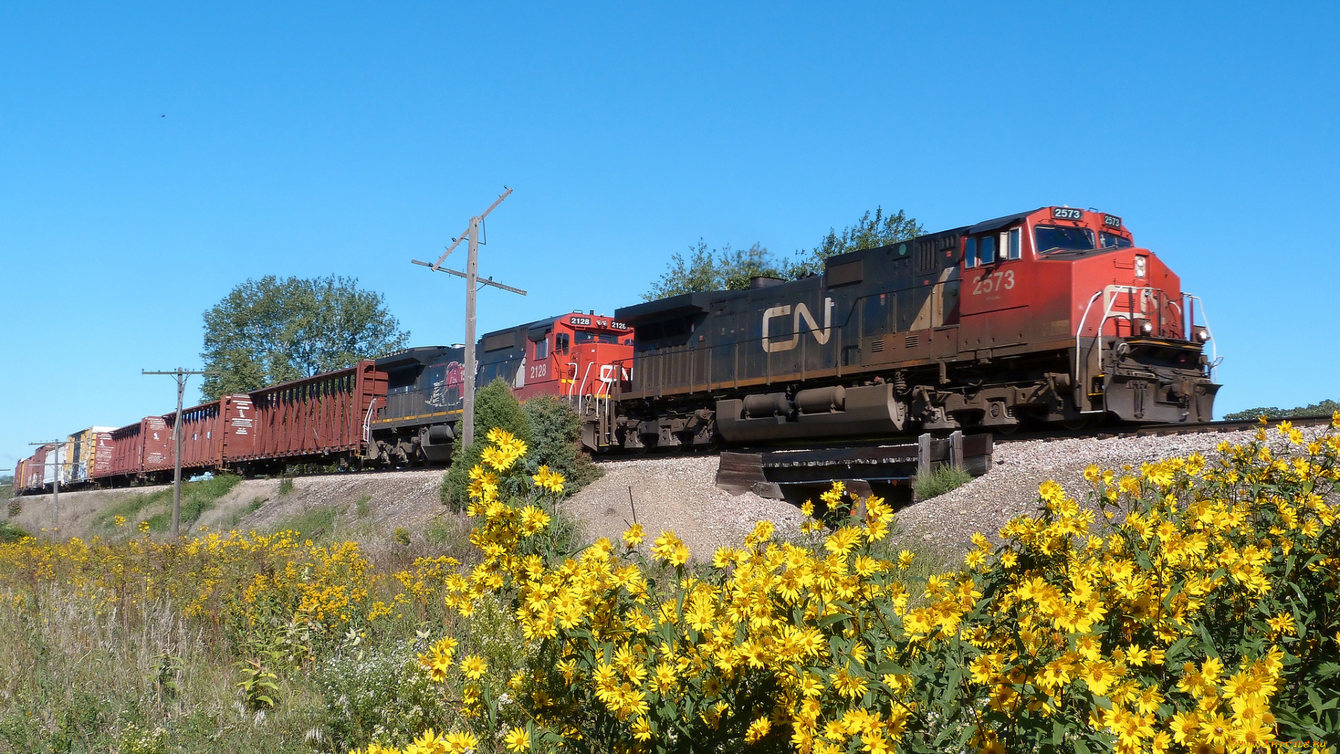 техника, поезда, состав, локомотив, дорога, железная