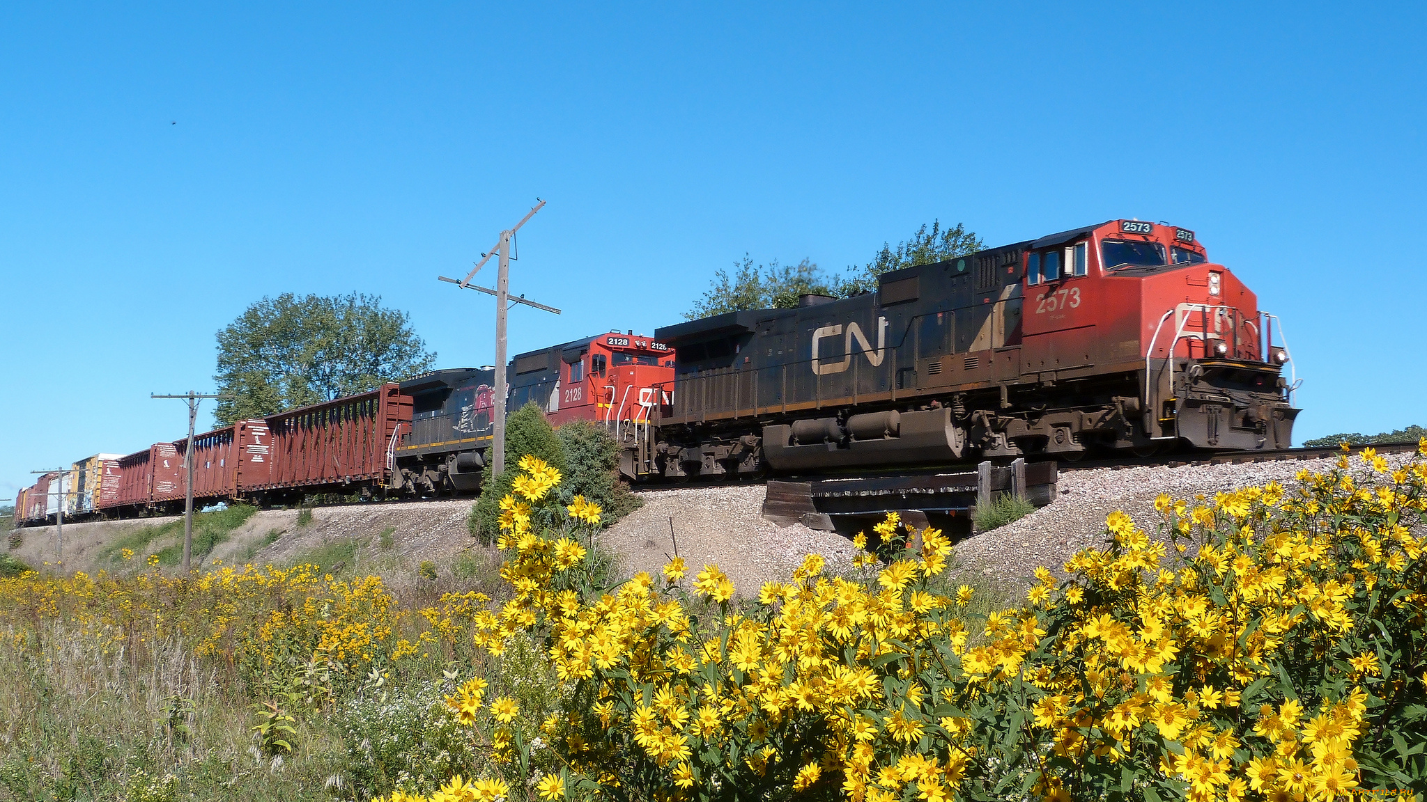 техника, поезда, состав, локомотив, дорога, железная