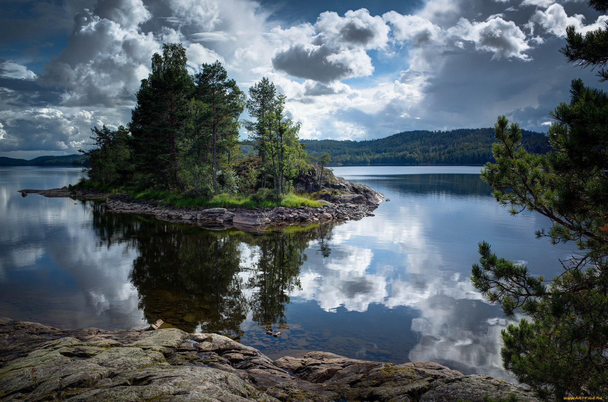 природа, реки, озера, река, лес, островок