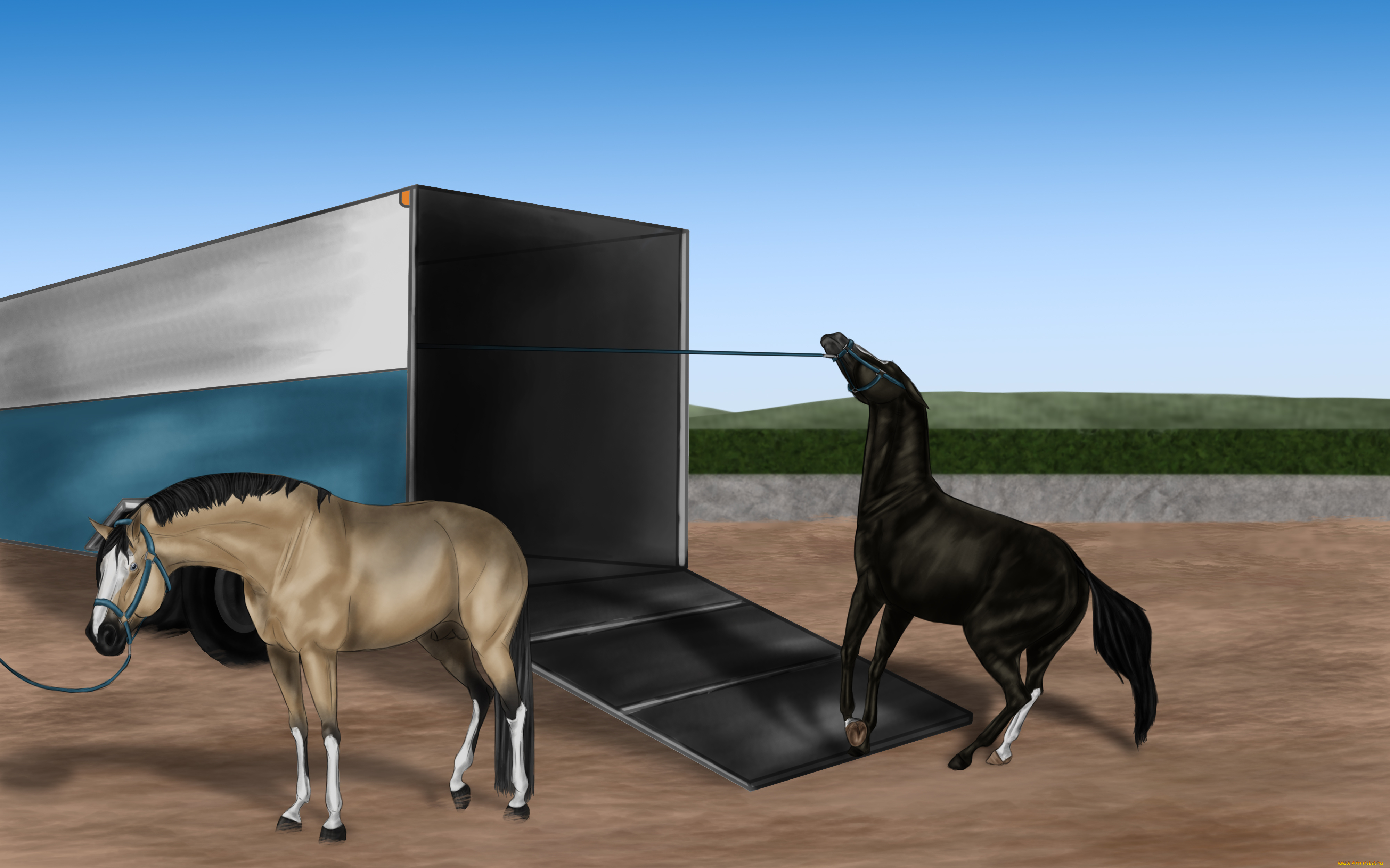 рисованное, животные, , лошади, лошади