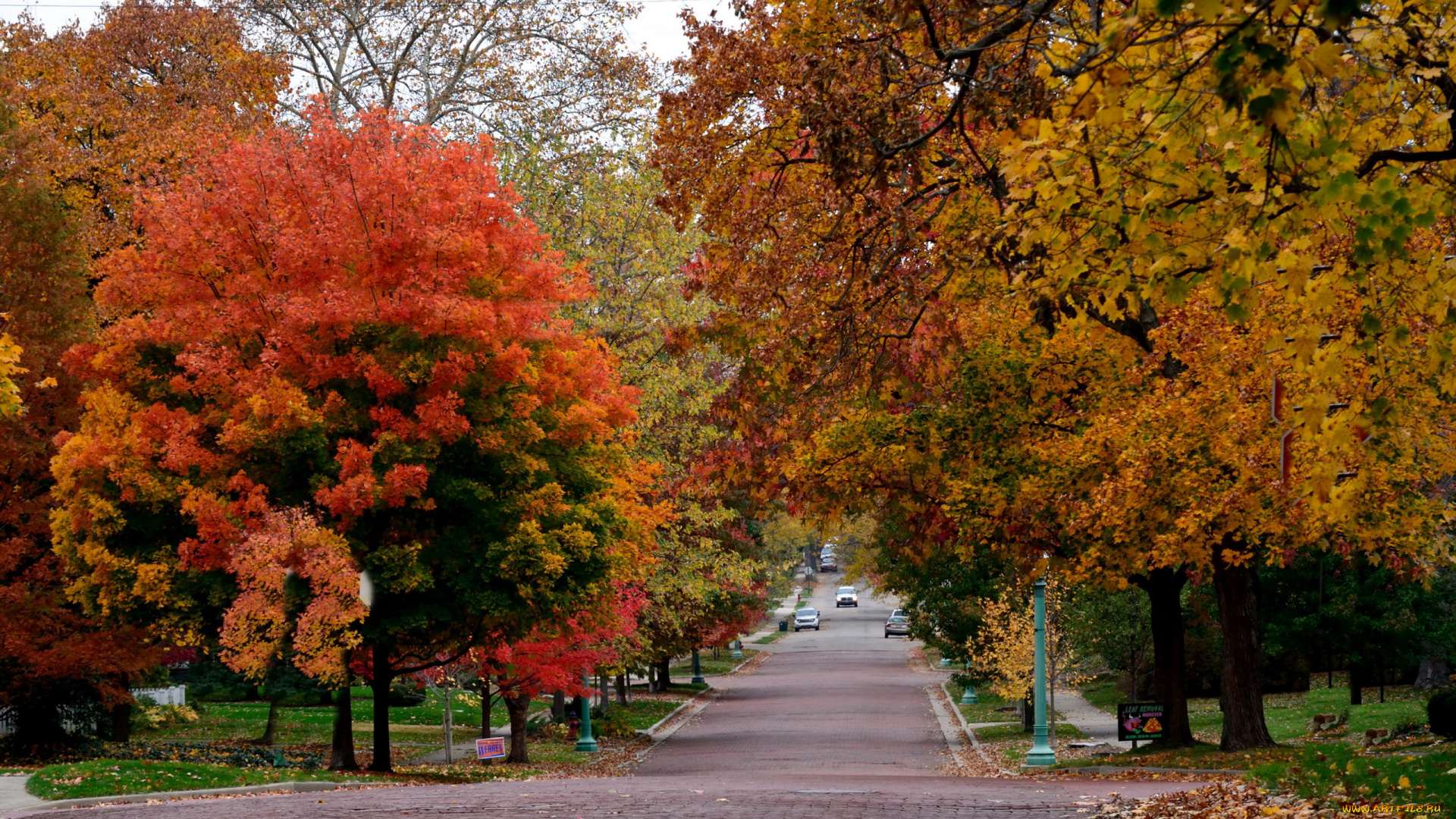 природа, дороги, осень, фонарь, дорога