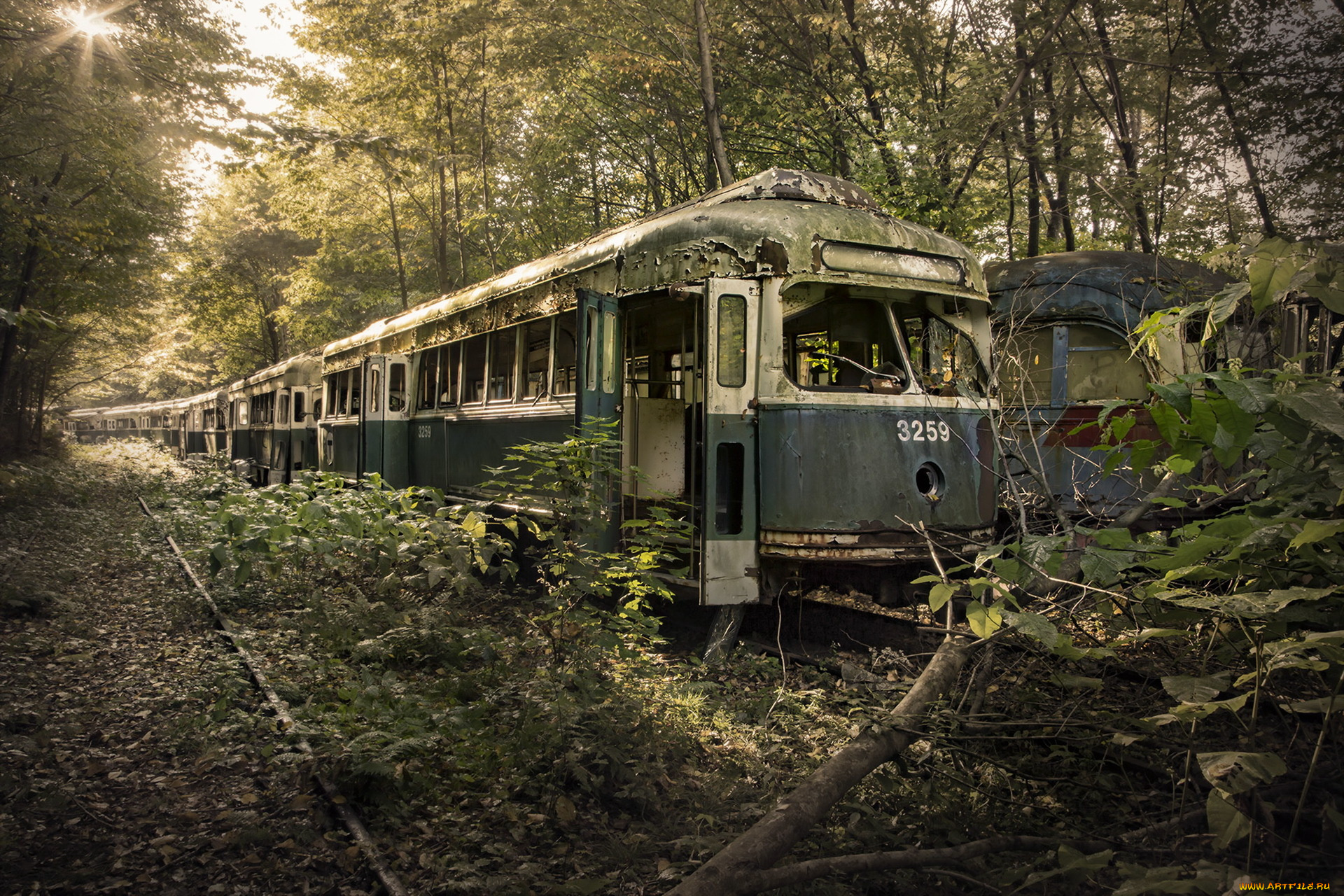 разное, развалины, , руины, , металлолом, лес, лом, вагоны